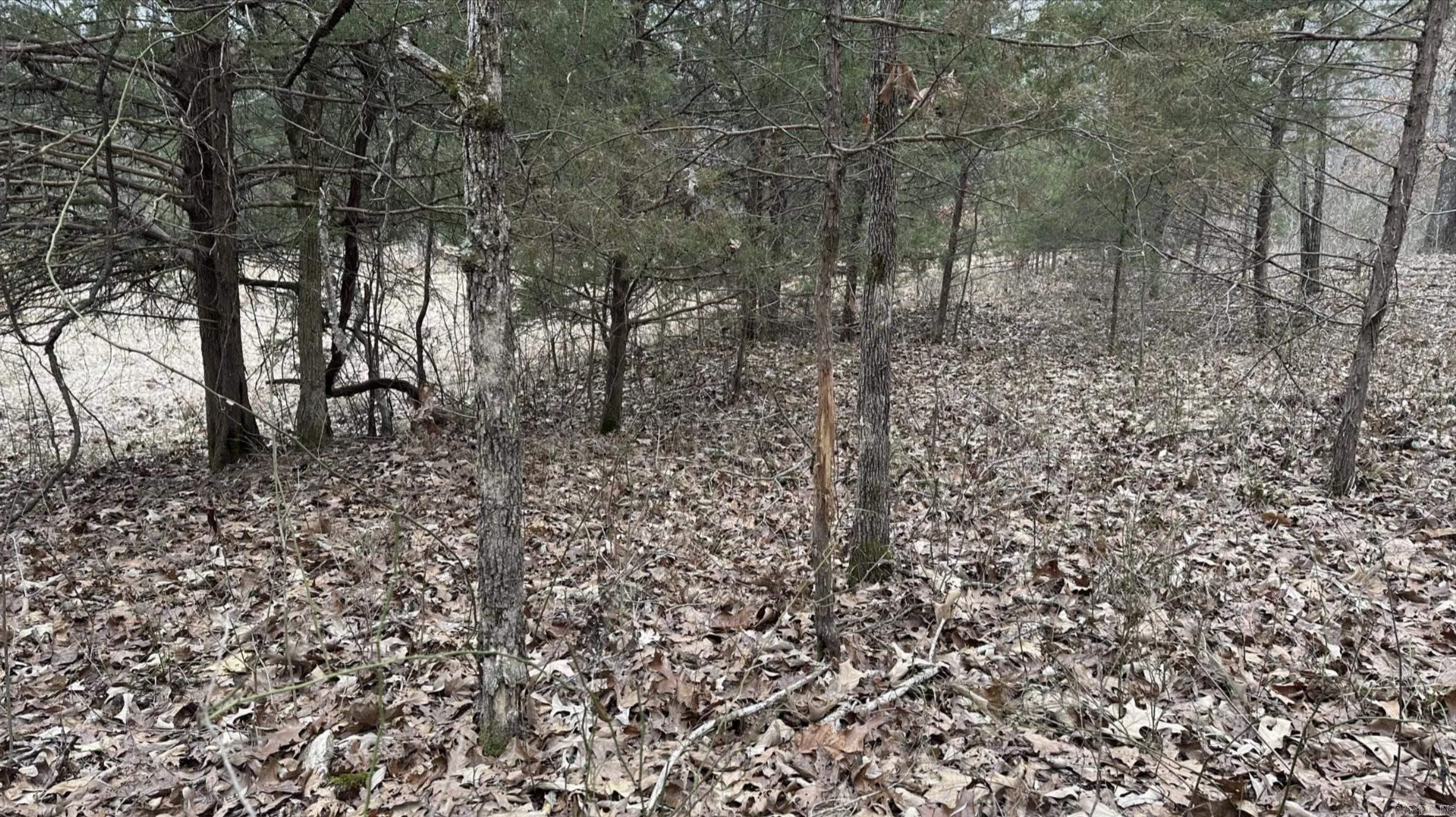 Photo 46 - Vacant Land for sale – 000  Schales Rd.   Sitka, AR