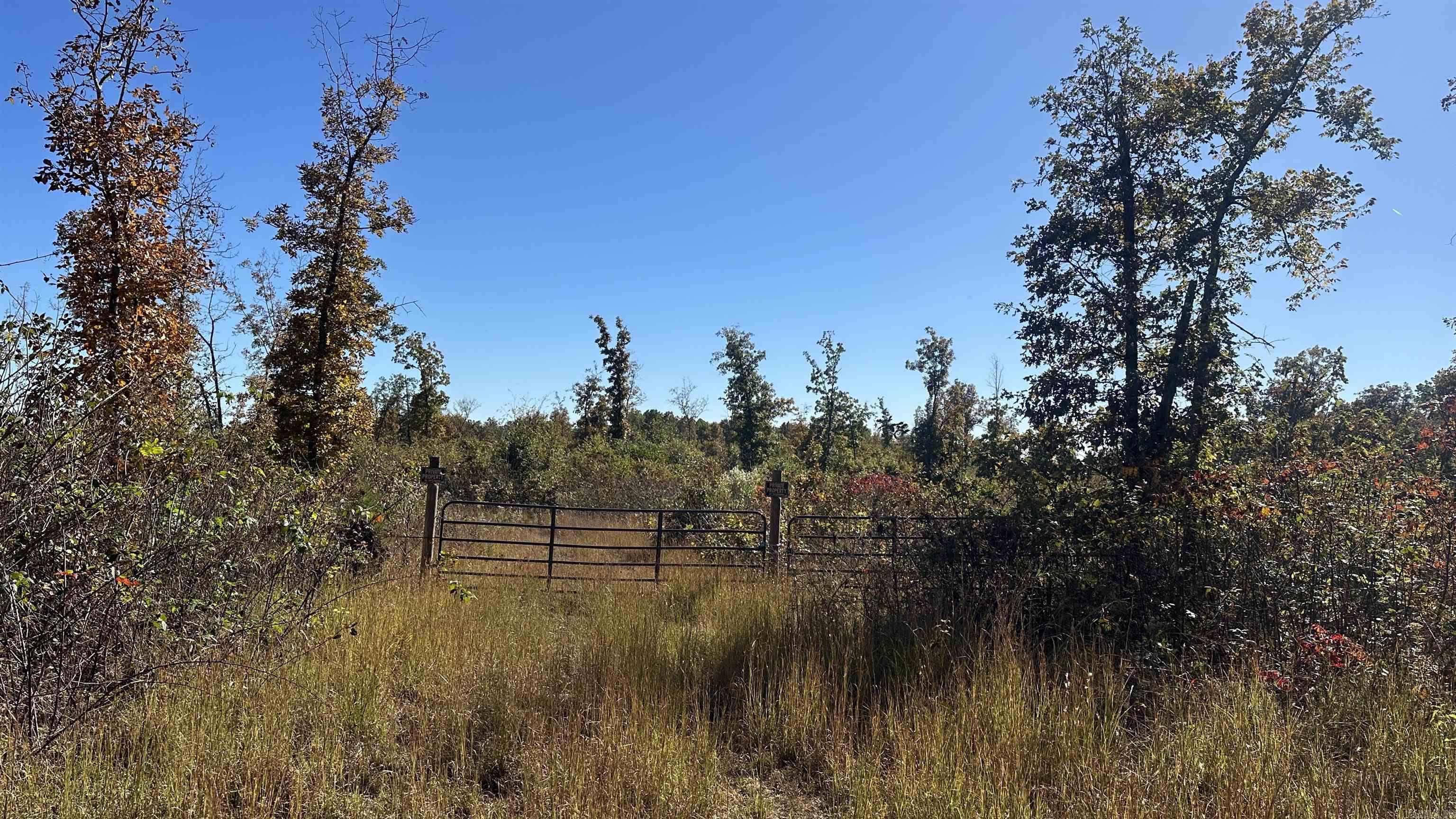 Photo 6 - Vacant Land for sale – 000  Schales Rd.   Sitka, AR