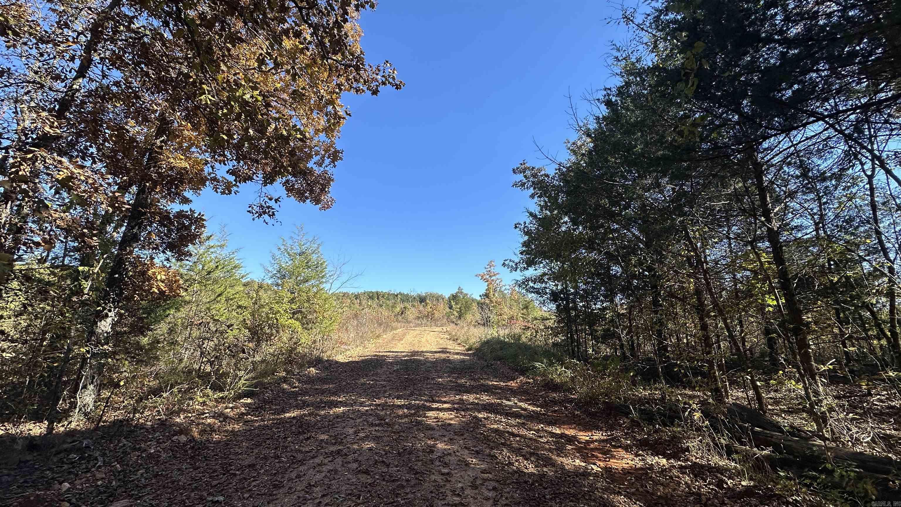 Photo 7 - Vacant Land for sale – 000  Schales Rd.   Sitka, AR