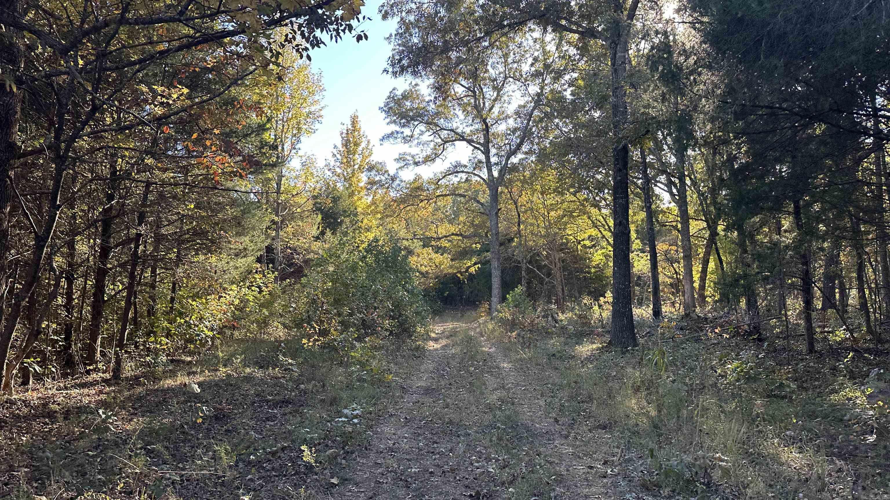 Photo 8 - Vacant Land for sale – 000  Schales Rd.   Sitka, AR