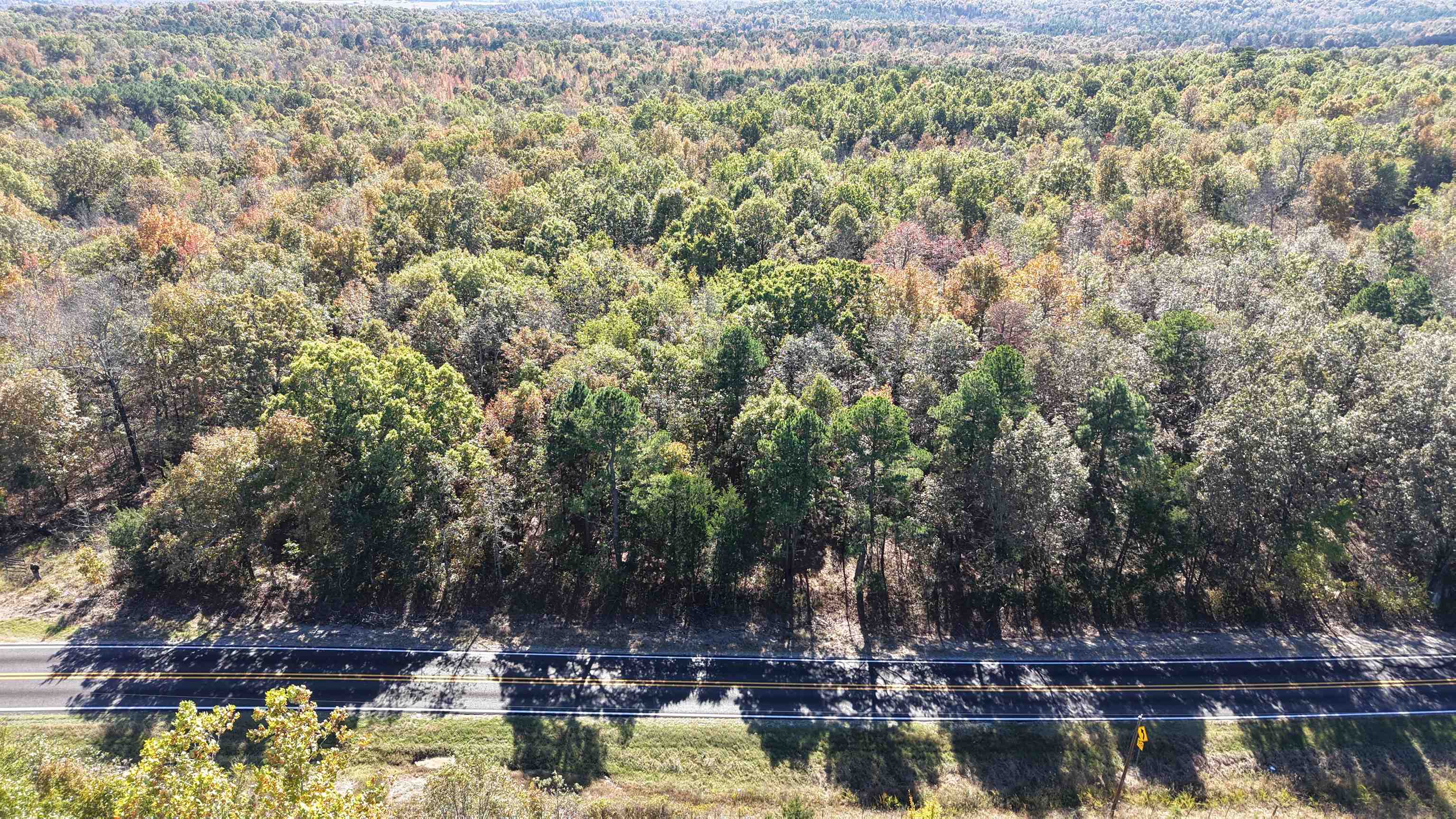 Photo 2 - Vacant Land for sale – 4.5A  Highway 58   Sidney, AR