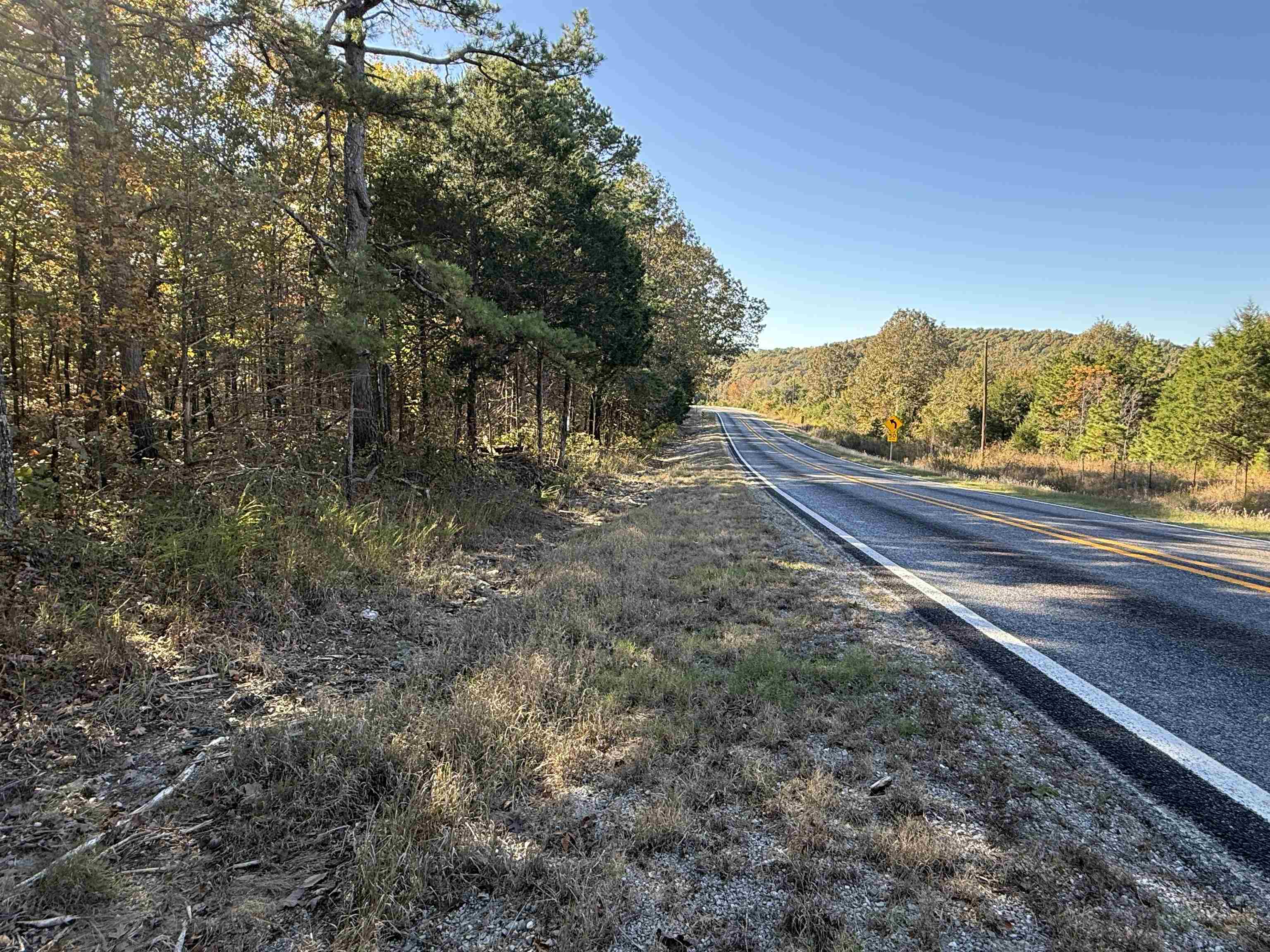 Photo 5 - Vacant Land for sale – 4.5A  Highway 58   Sidney, AR