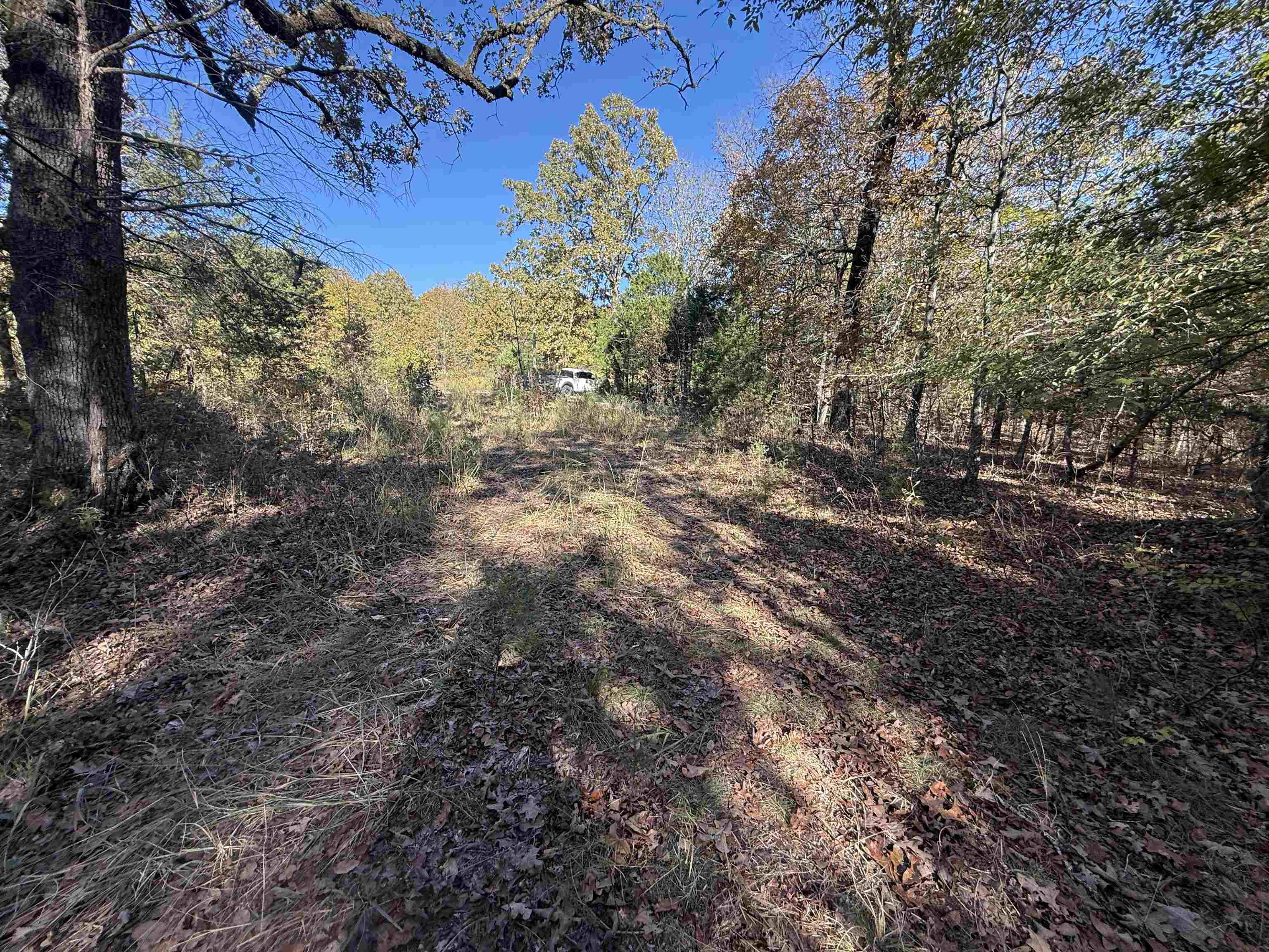 Photo 9 - Vacant Land for sale – 4.5A  Highway 58   Sidney, AR