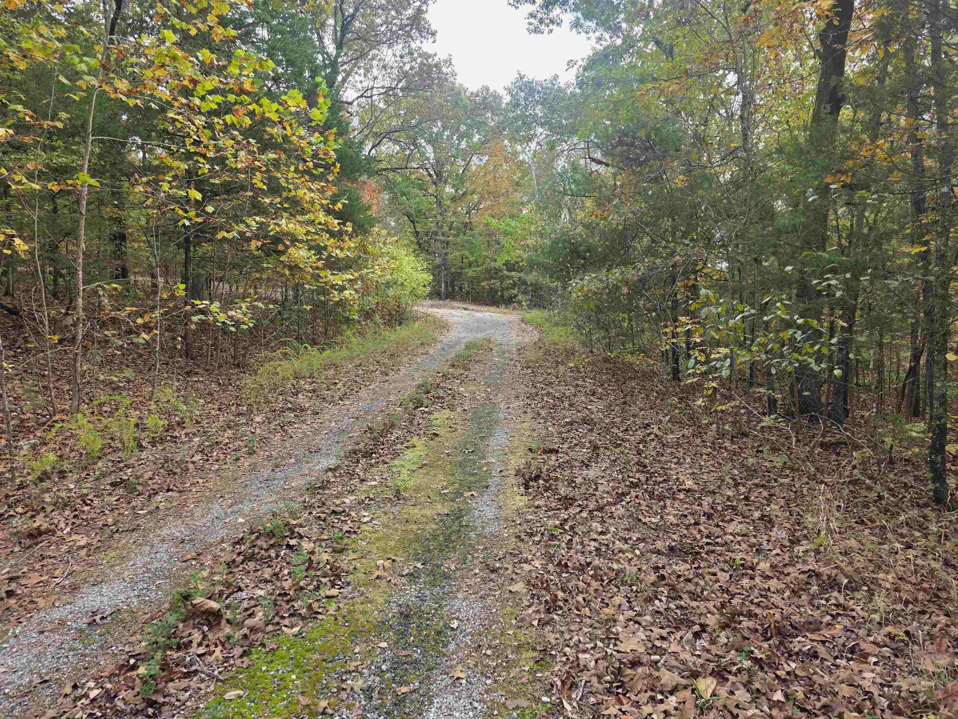 Photo 2 - Vacant Land for sale – L-5,6 B- 3  Apoxsee   Cherokee Village, AR