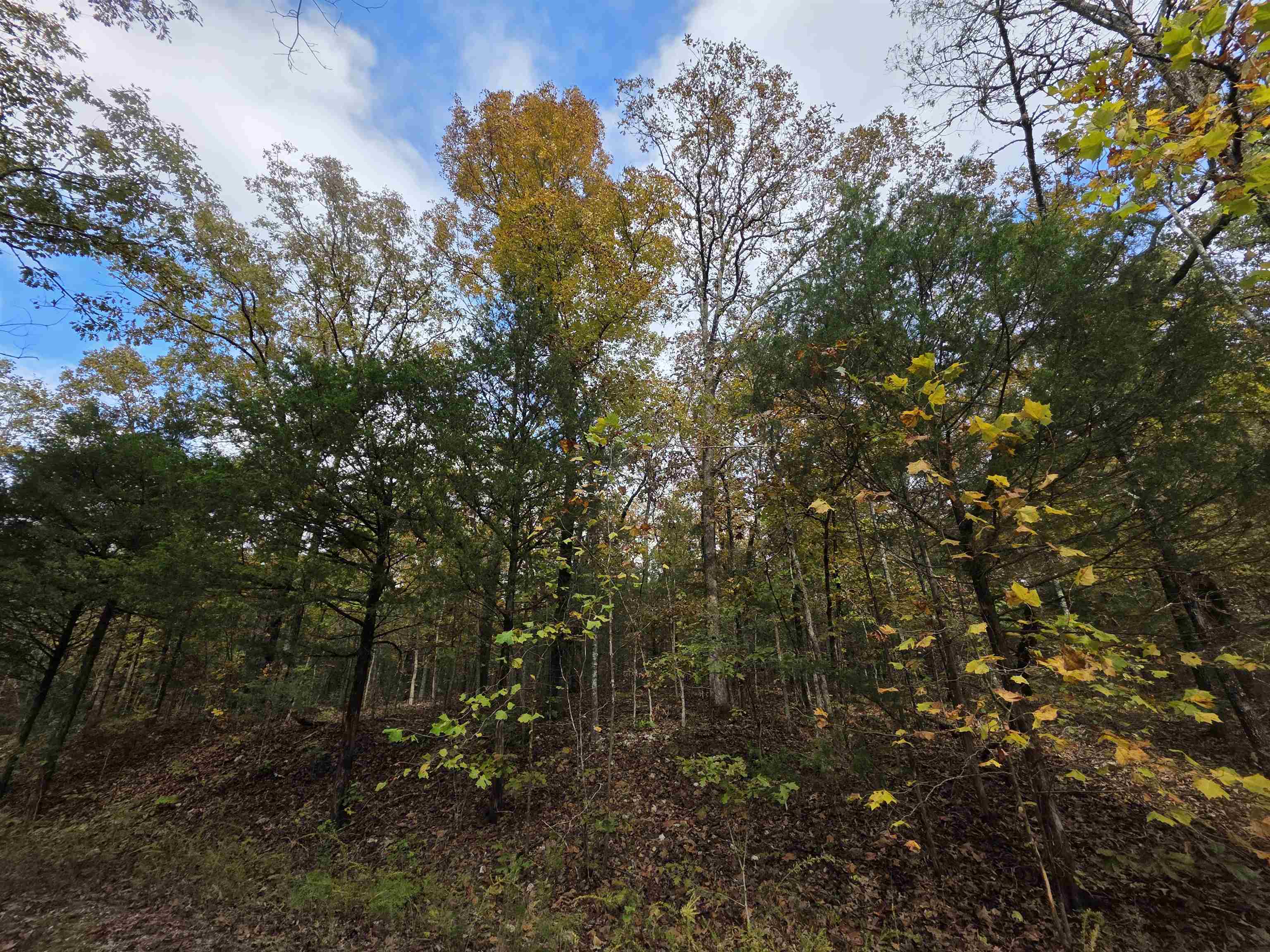 Photo 11 - Vacant Land for sale – L-5,6 B- 3  Apoxsee   Cherokee Village, AR