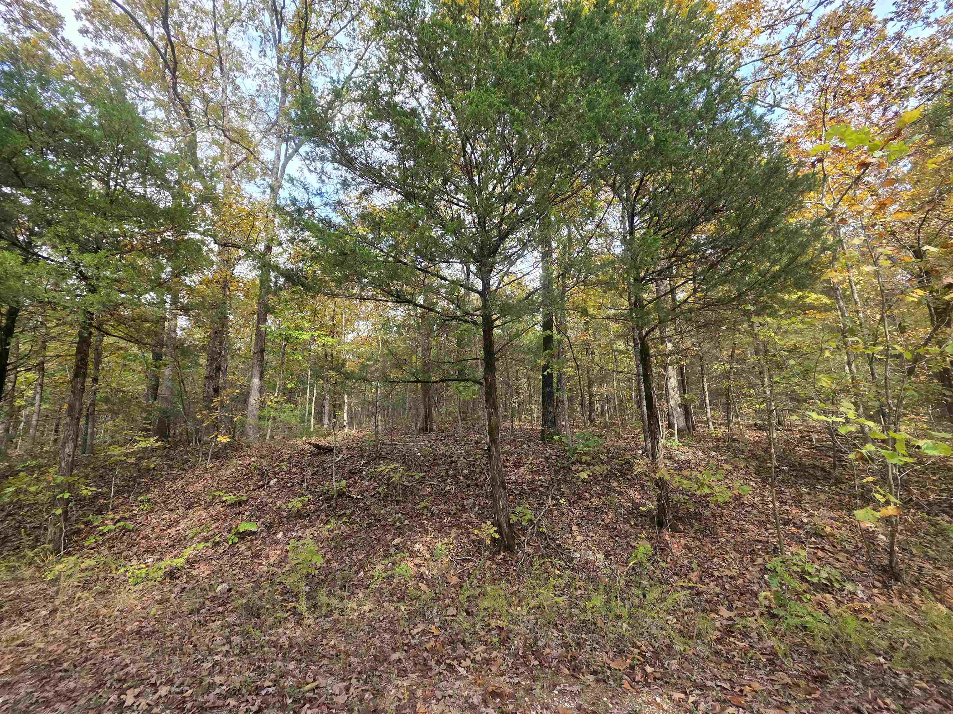 Photo 12 - Vacant Land for sale – L-5,6 B- 3  Apoxsee   Cherokee Village, AR