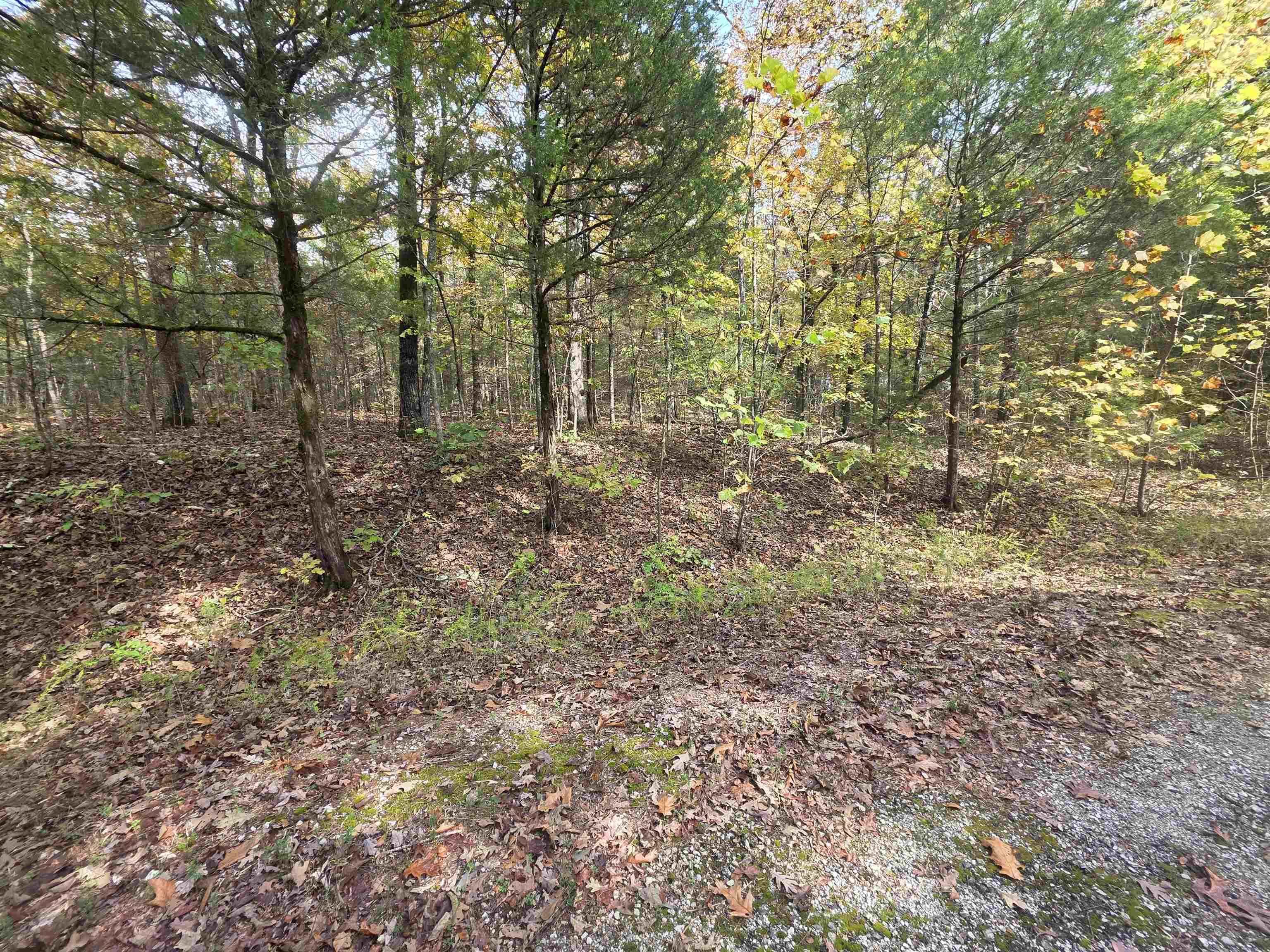 Photo 13 - Vacant Land for sale – L-5,6 B- 3  Apoxsee   Cherokee Village, AR
