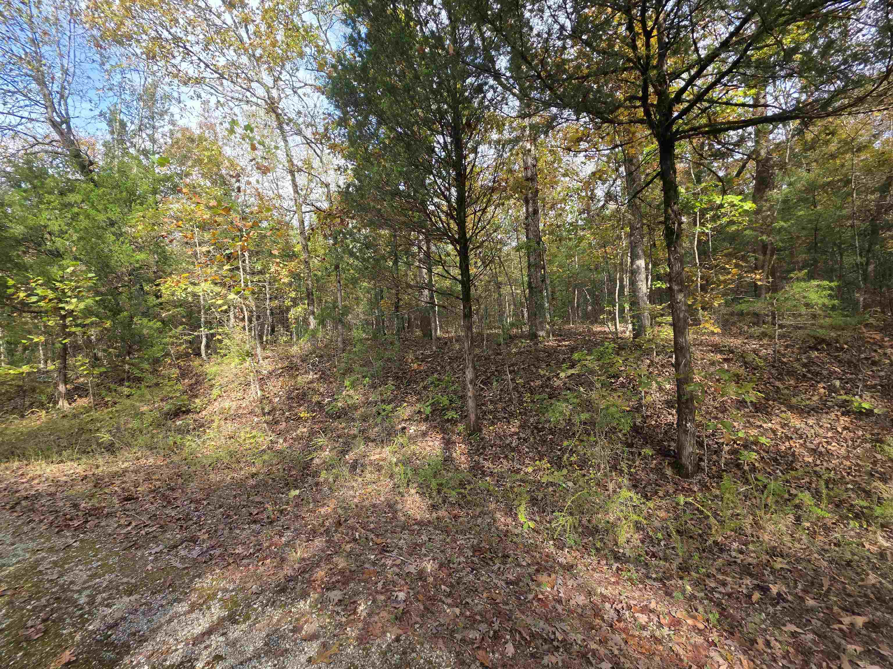 Photo 14 - Vacant Land for sale – L-5,6 B- 3  Apoxsee   Cherokee Village, AR