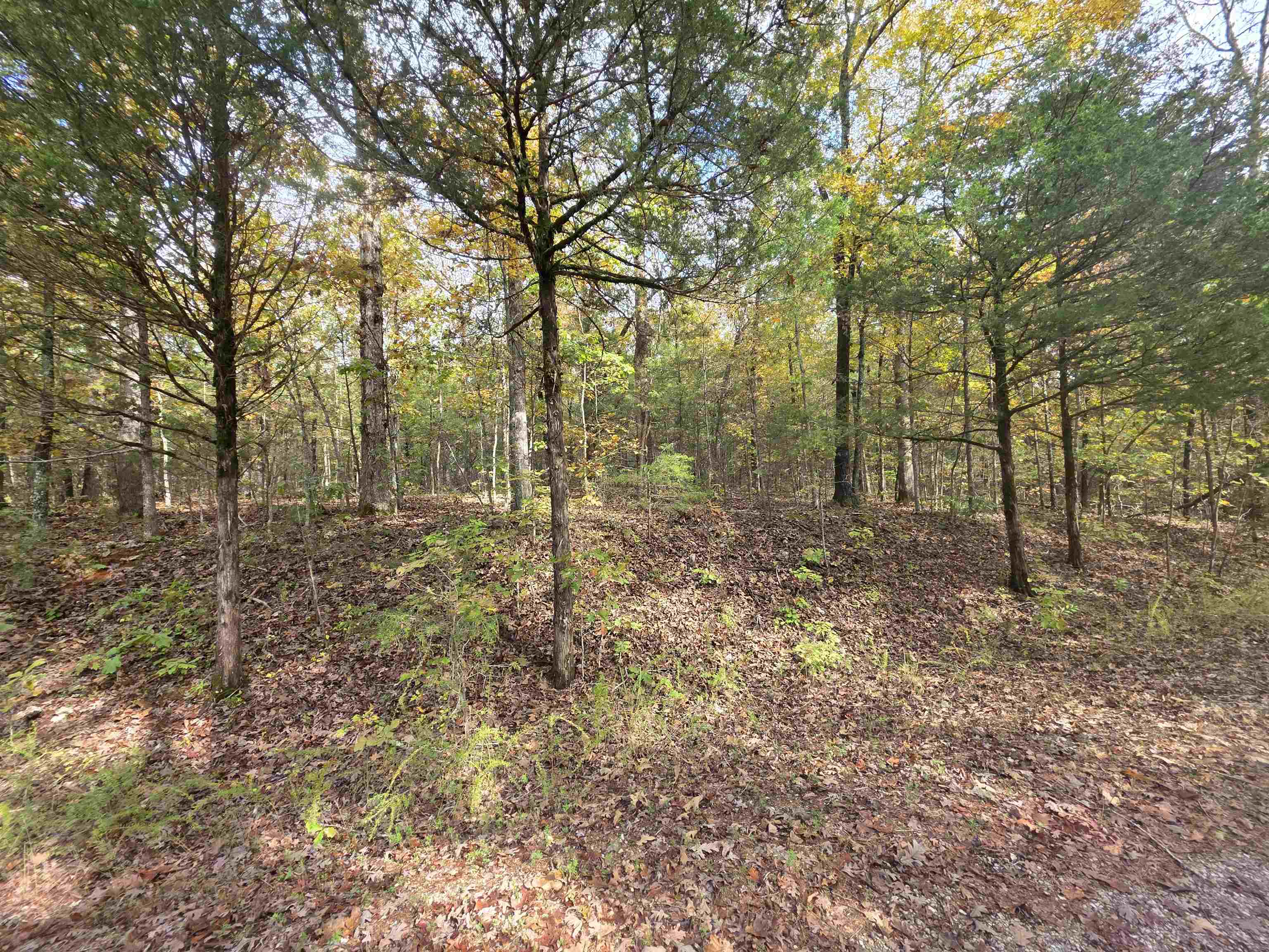 Photo 15 - Vacant Land for sale – L-5,6 B- 3  Apoxsee   Cherokee Village, AR