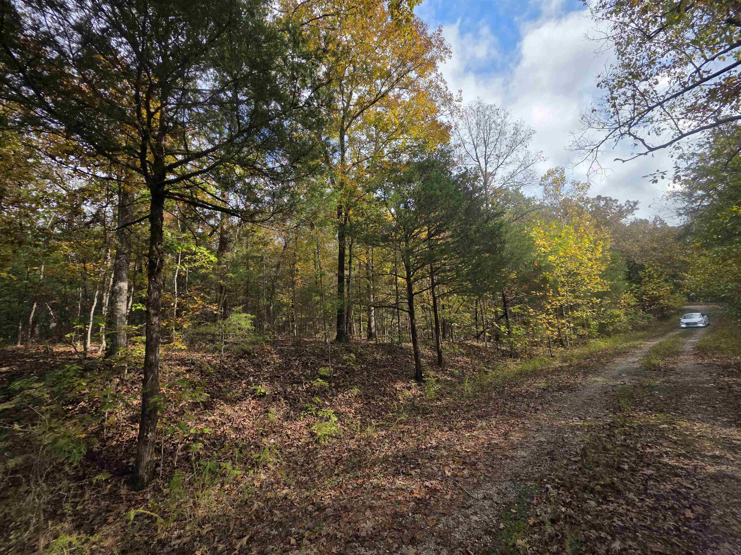 Photo 16 - Vacant Land for sale – L-5,6 B- 3  Apoxsee   Cherokee Village, AR