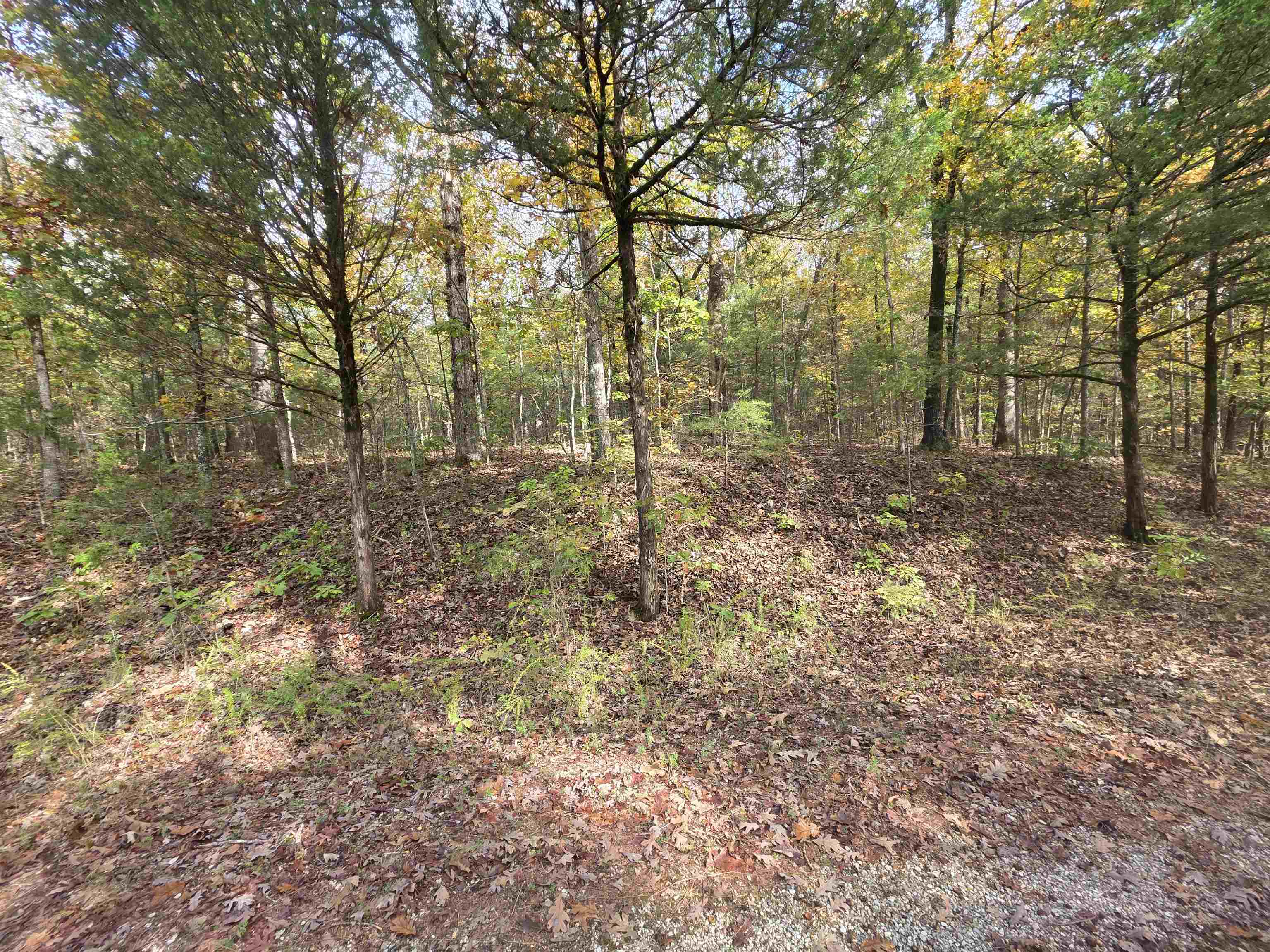 Photo 17 - Vacant Land for sale – L-5,6 B- 3  Apoxsee   Cherokee Village, AR