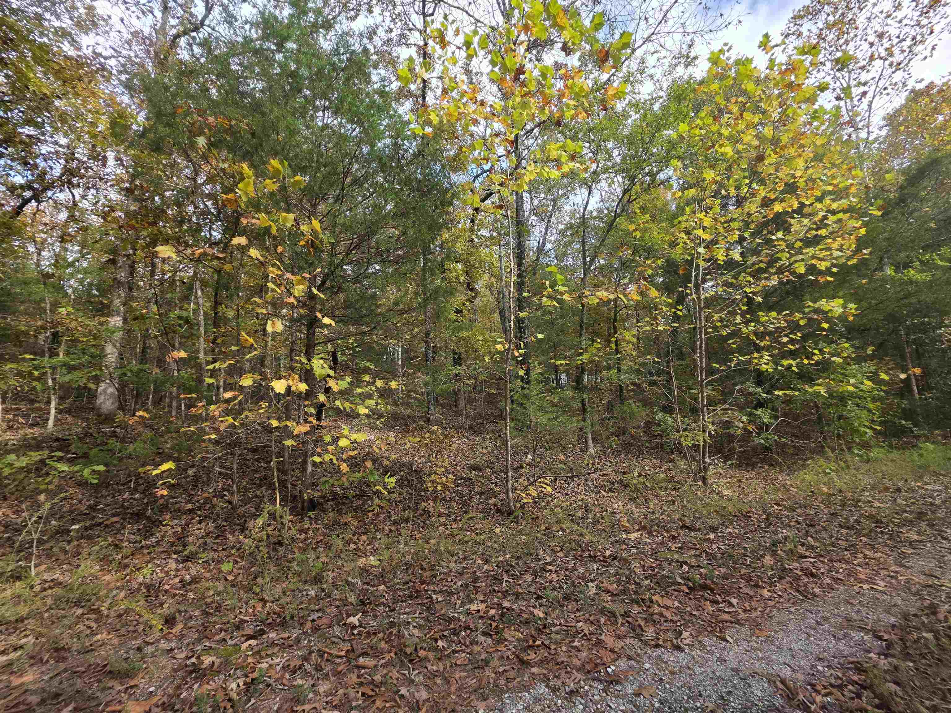 Photo 19 - Vacant Land for sale – L-5,6 B- 3  Apoxsee   Cherokee Village, AR