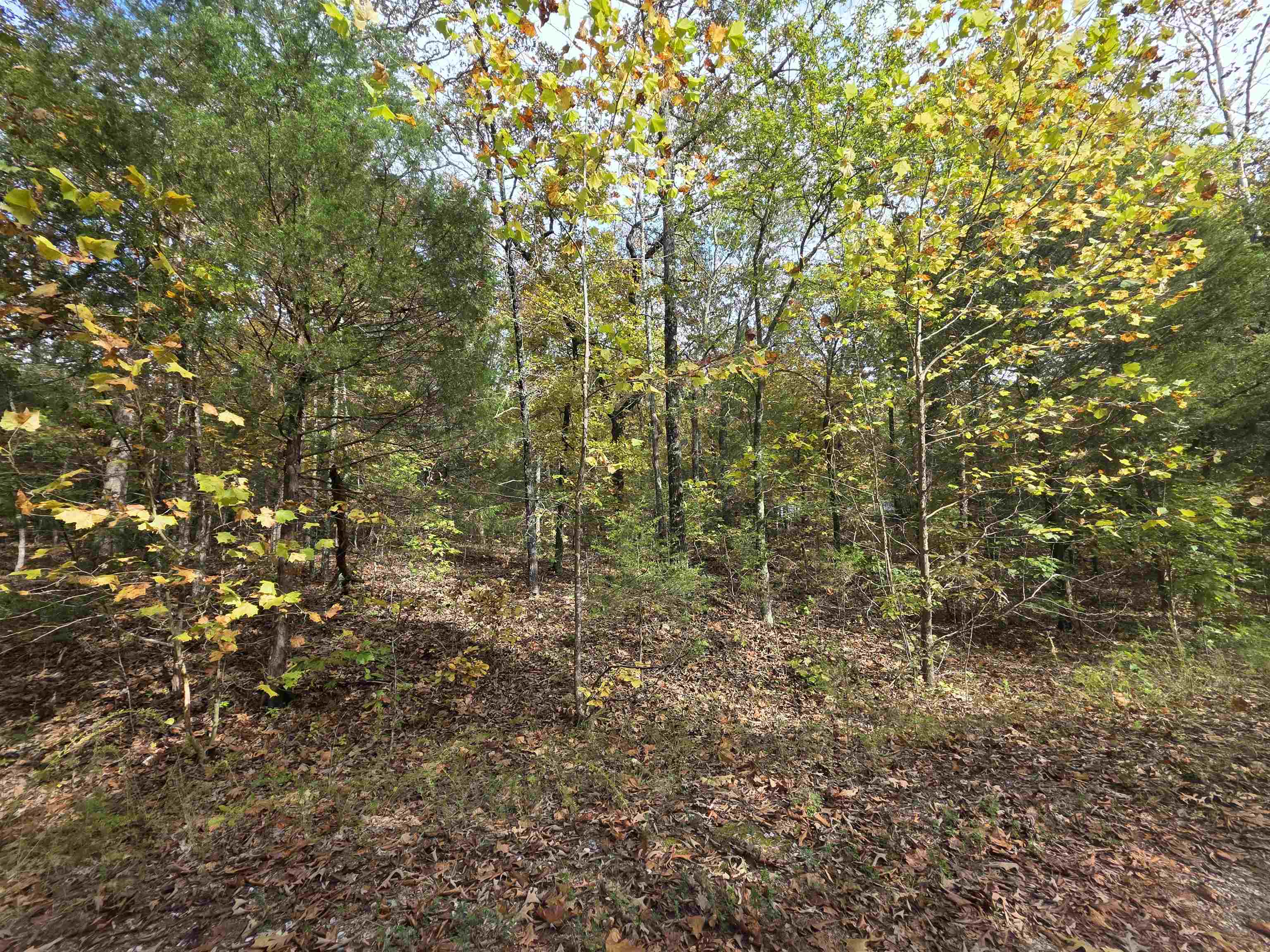Photo 20 - Vacant Land for sale – L-5,6 B- 3  Apoxsee   Cherokee Village, AR