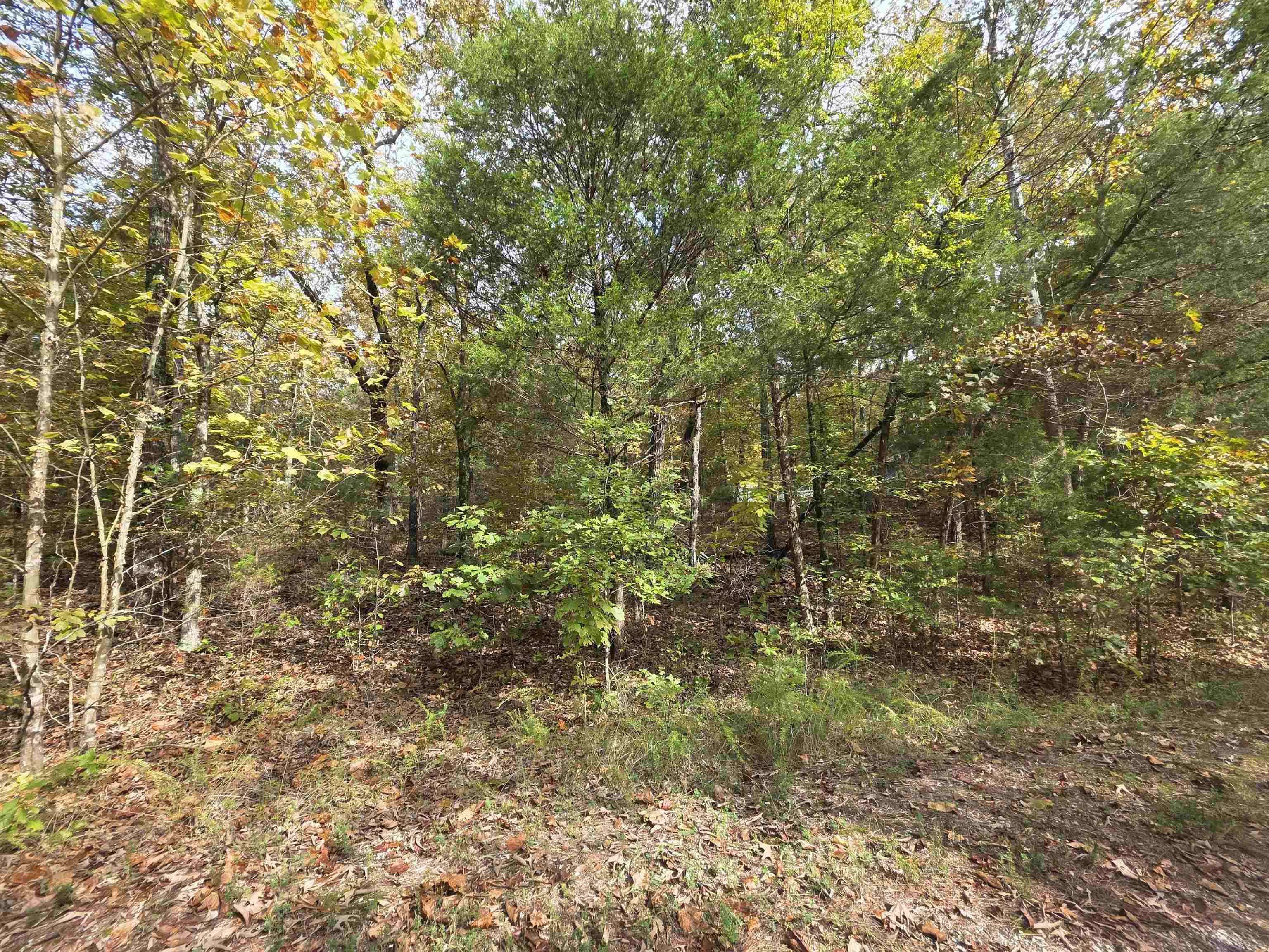 Photo 21 - Vacant Land for sale – L-5,6 B- 3  Apoxsee   Cherokee Village, AR
