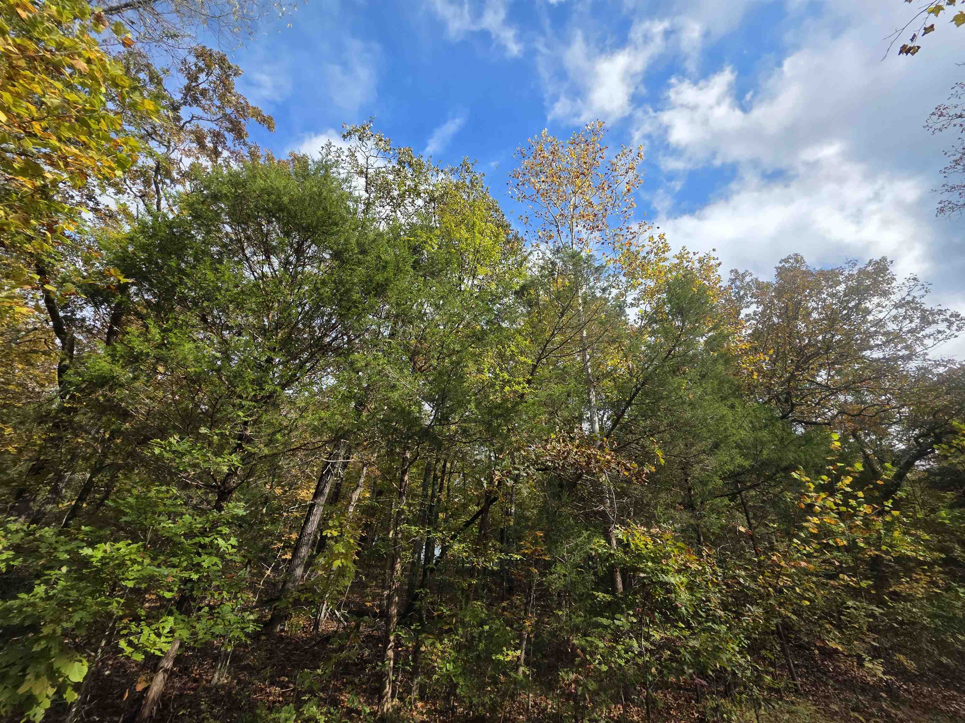 Photo 22 - Vacant Land for sale – L-5,6 B- 3  Apoxsee   Cherokee Village, AR