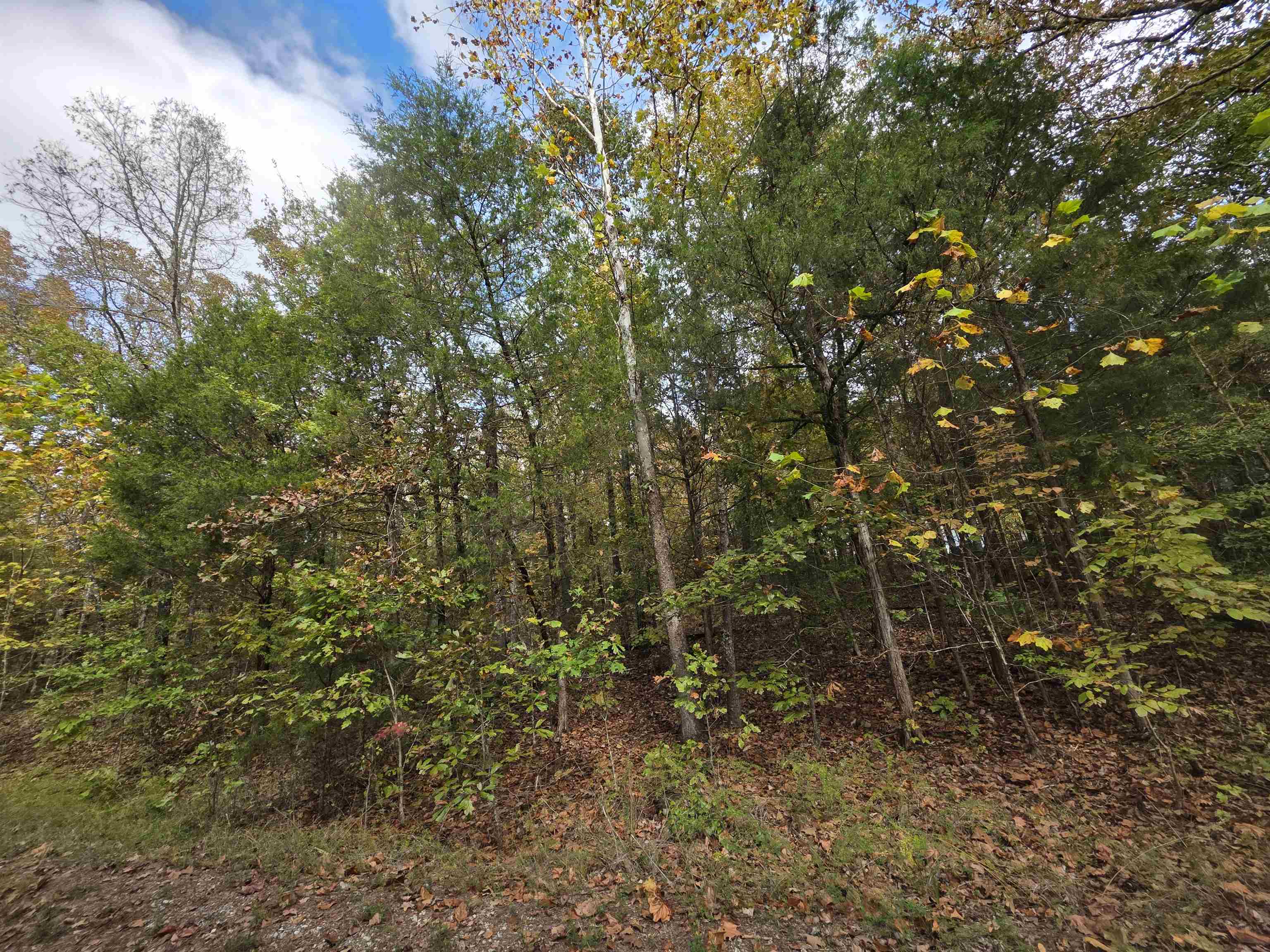 Photo 23 - Vacant Land for sale – L-5,6 B- 3  Apoxsee   Cherokee Village, AR