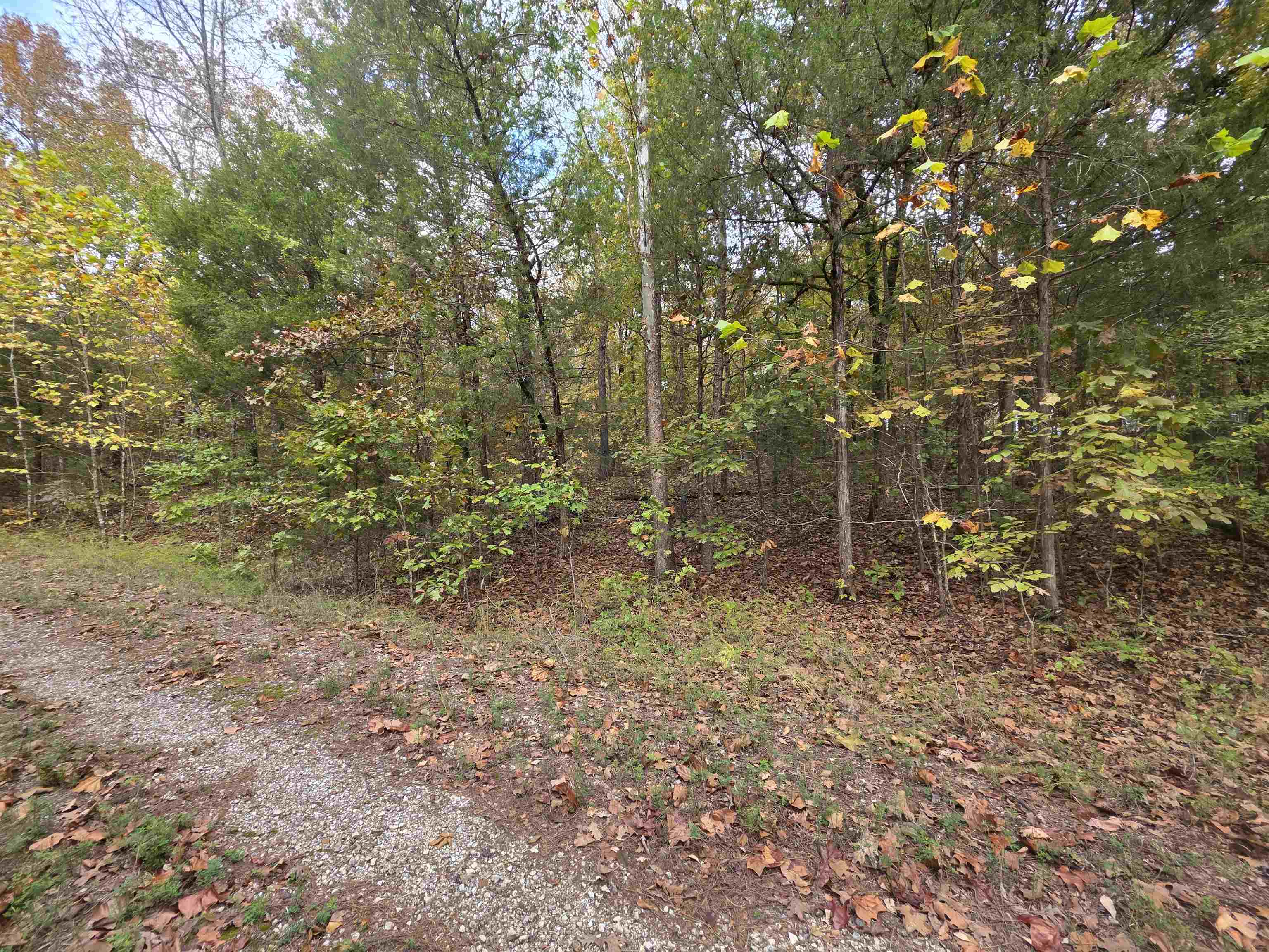 Photo 4 - Vacant Land for sale – L-5,6 B- 3  Apoxsee   Cherokee Village, AR