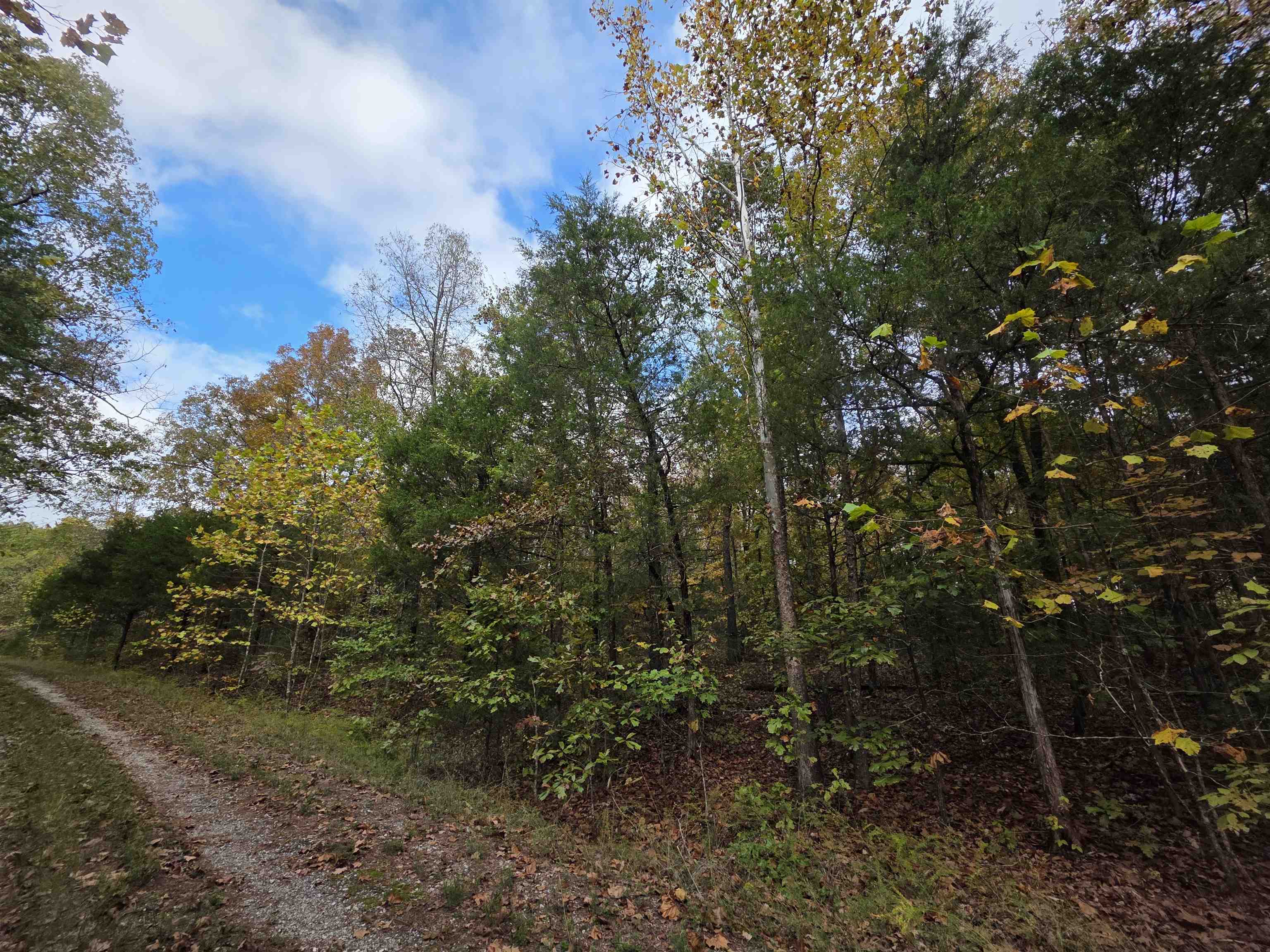 Photo 5 - Vacant Land for sale – L-5,6 B- 3  Apoxsee   Cherokee Village, AR