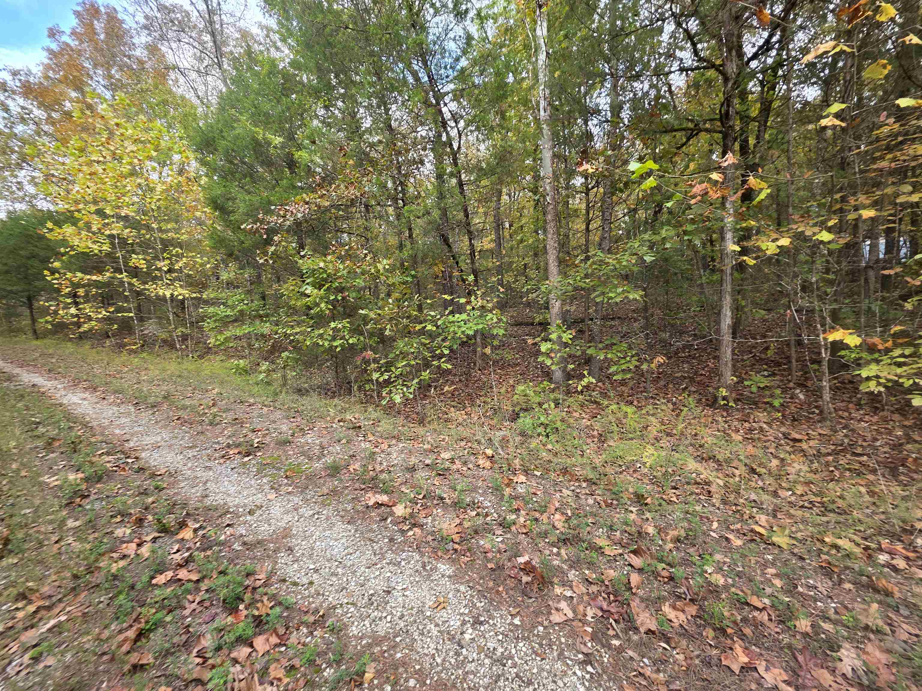 Photo 6 - Vacant Land for sale – L-5,6 B- 3  Apoxsee   Cherokee Village, AR