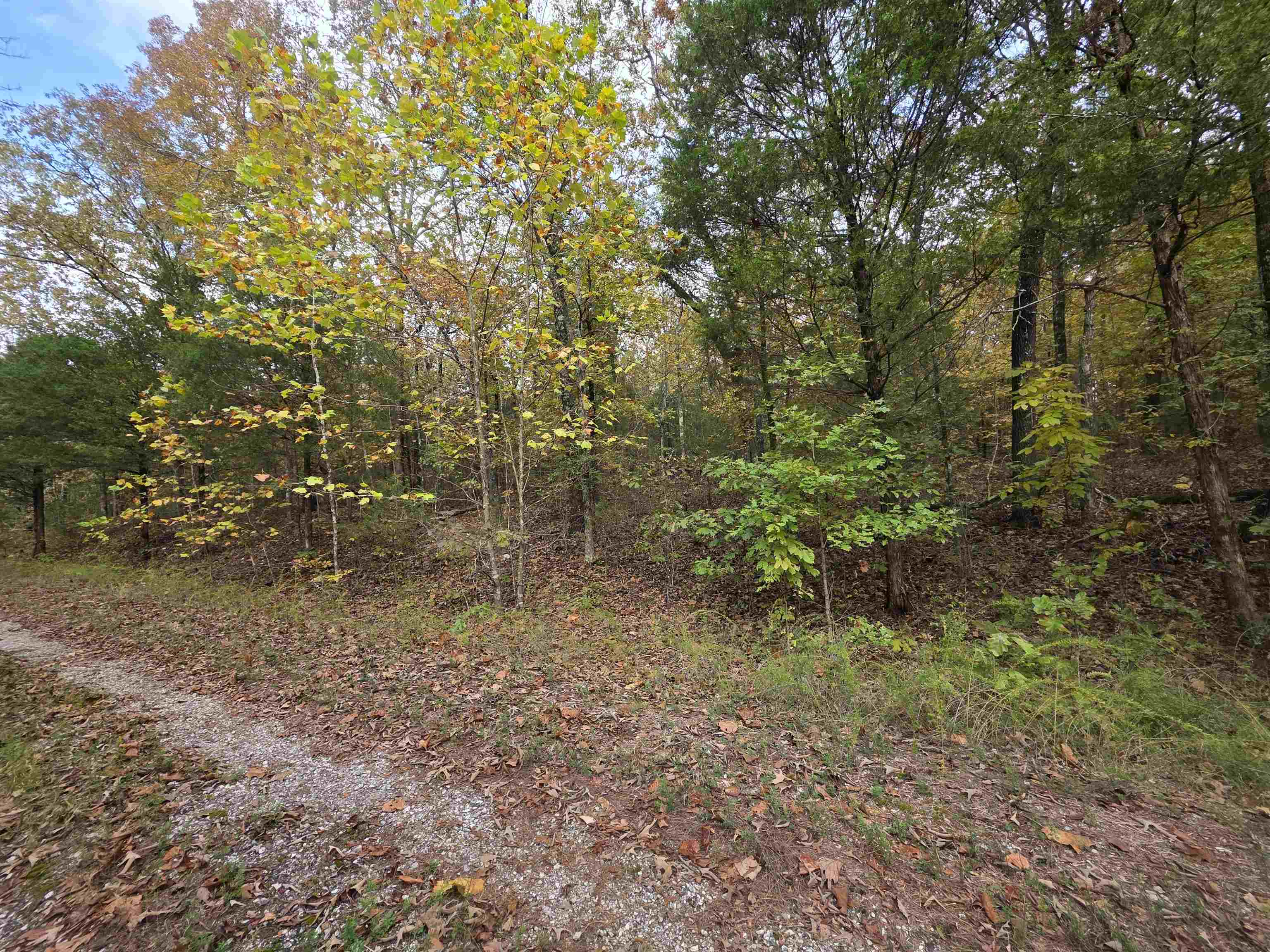Photo 7 - Vacant Land for sale – L-5,6 B- 3  Apoxsee   Cherokee Village, AR