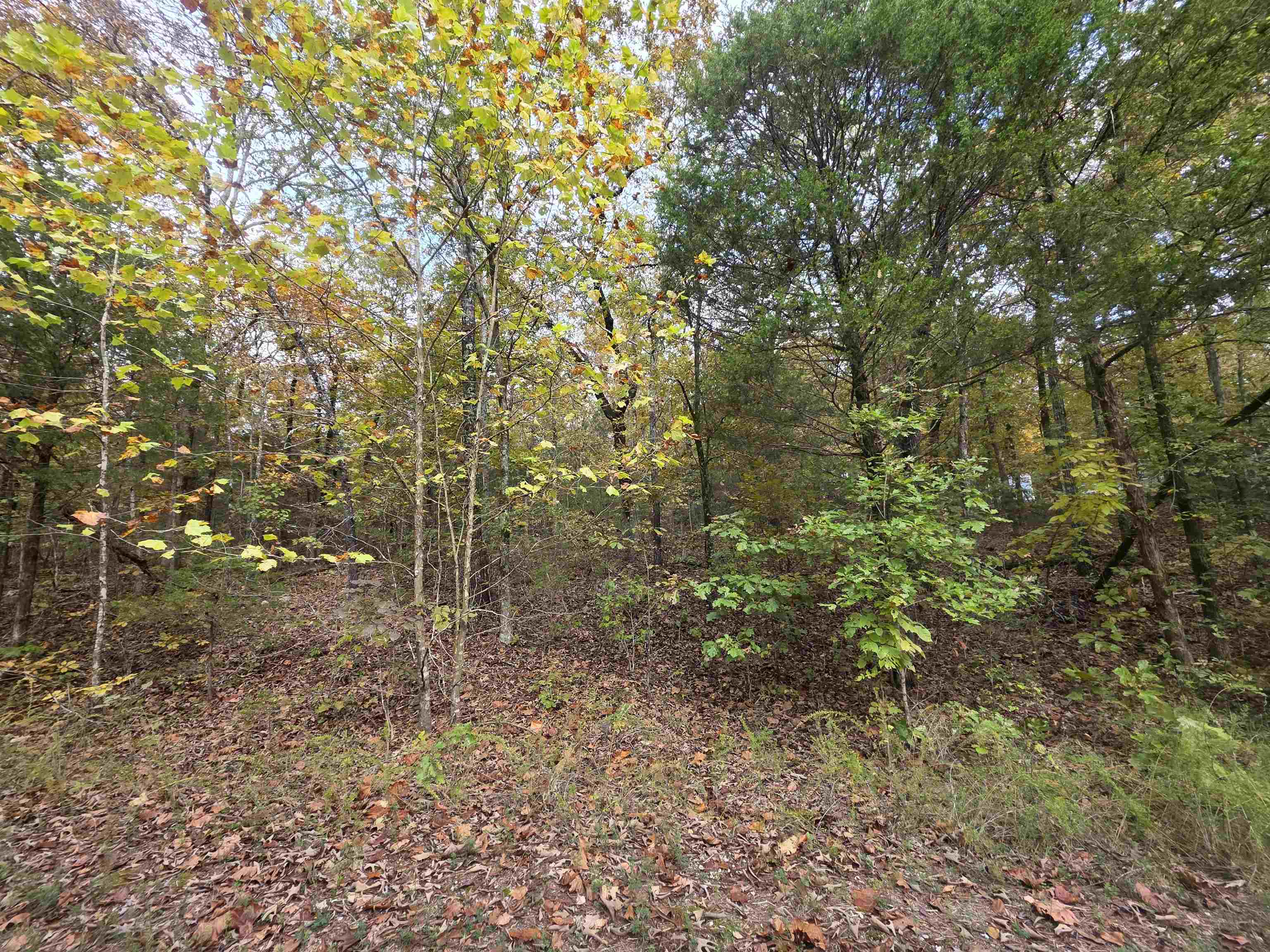 Photo 8 - Vacant Land for sale – L-5,6 B- 3  Apoxsee   Cherokee Village, AR