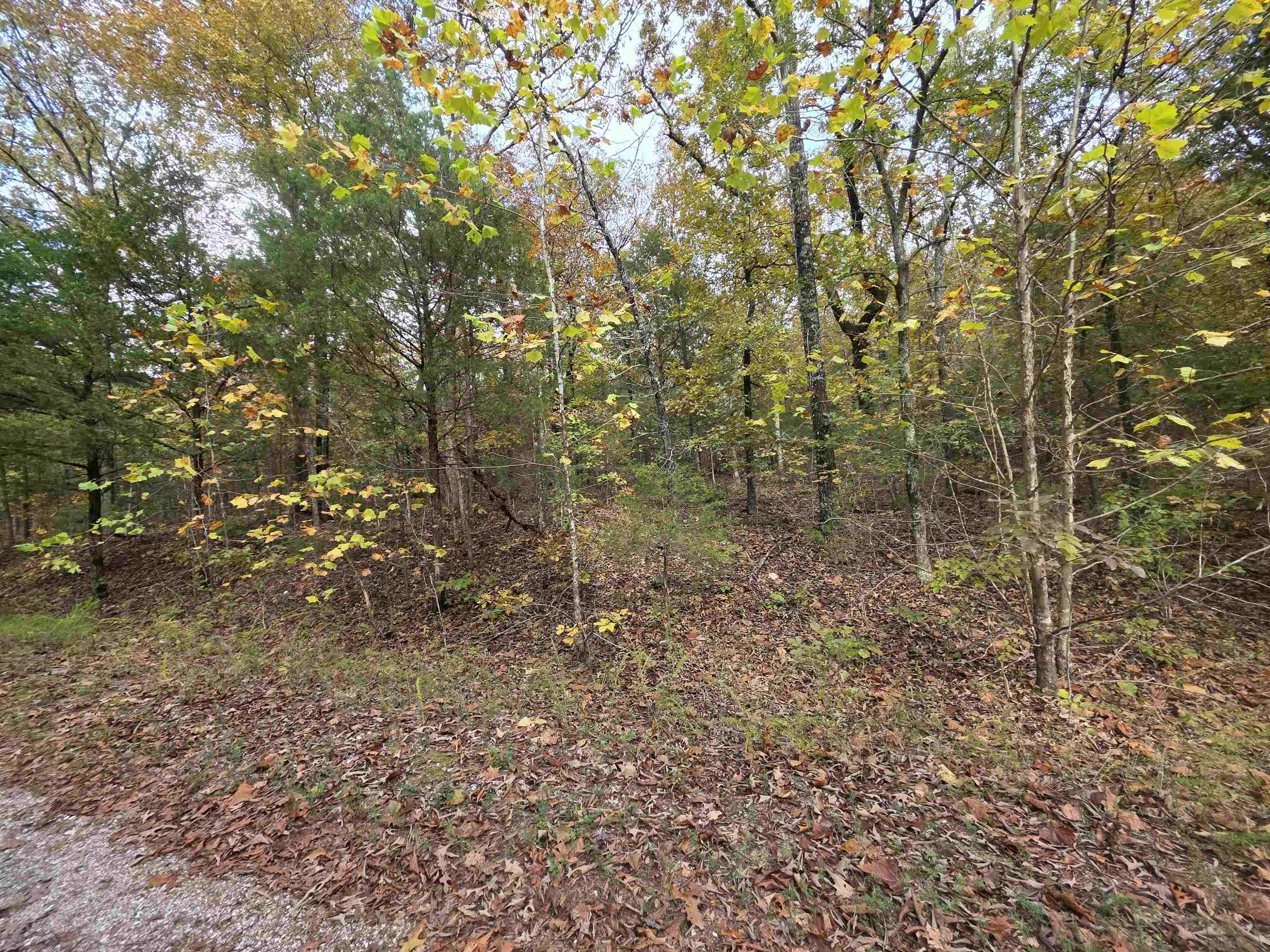 Photo 9 - Vacant Land for sale – L-5,6 B- 3  Apoxsee   Cherokee Village, AR