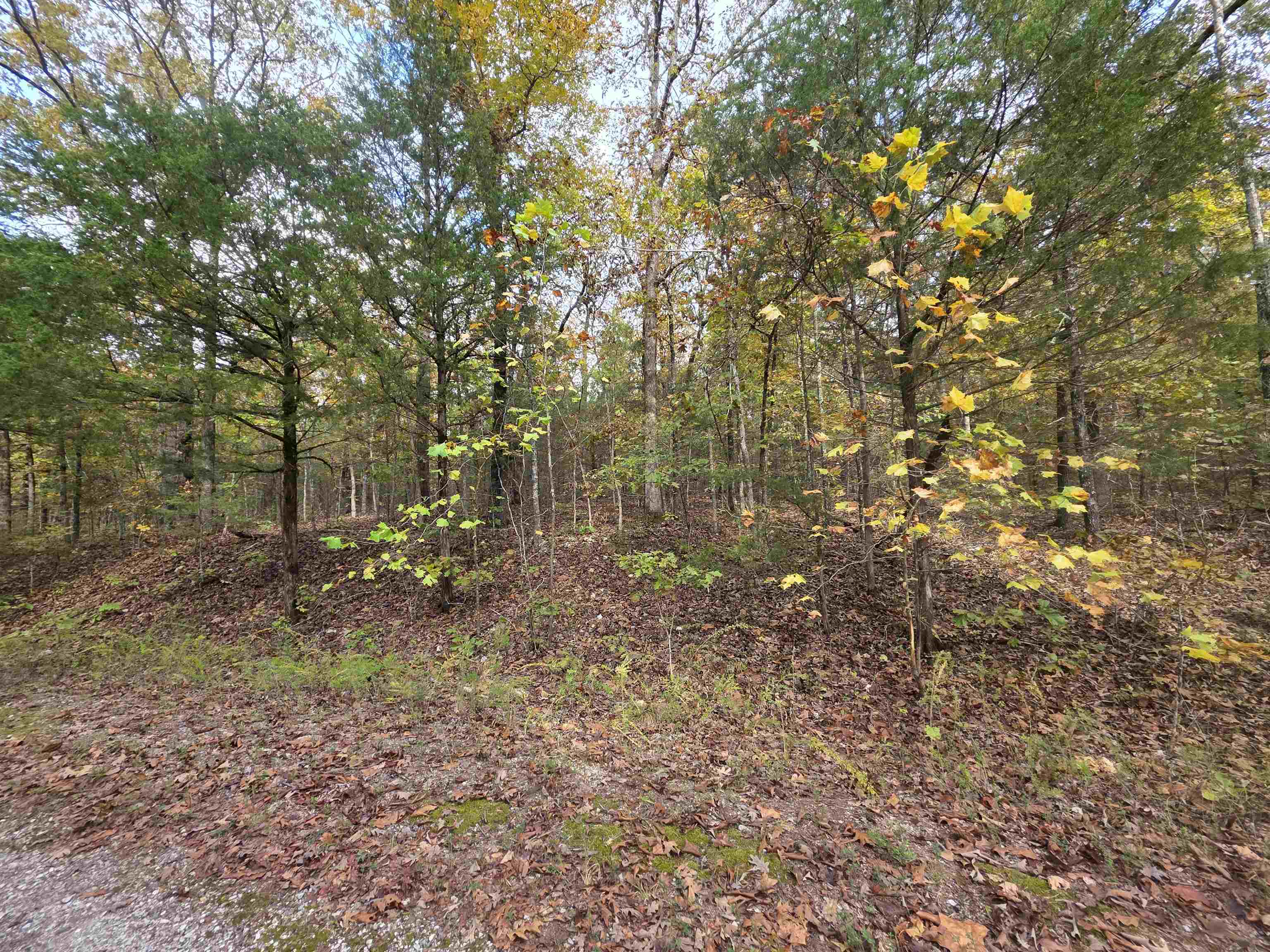 Photo 10 - Vacant Land for sale – L-5,6 B- 3  Apoxsee   Cherokee Village, AR