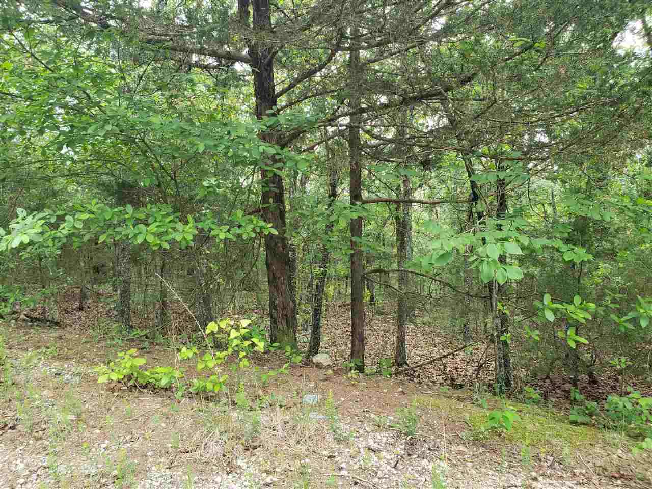 Vacant Land for sale – L-8 B-11  Micco   Cherokee Village, AR