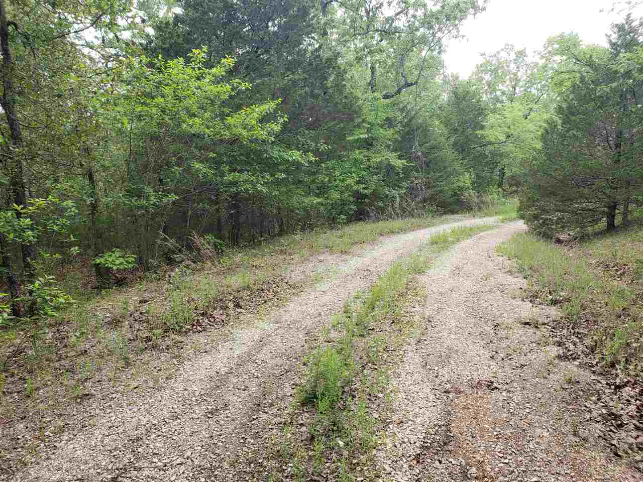 Photo 2 - Vacant Land for sale – L-8 B-11  Micco   Cherokee Village, AR