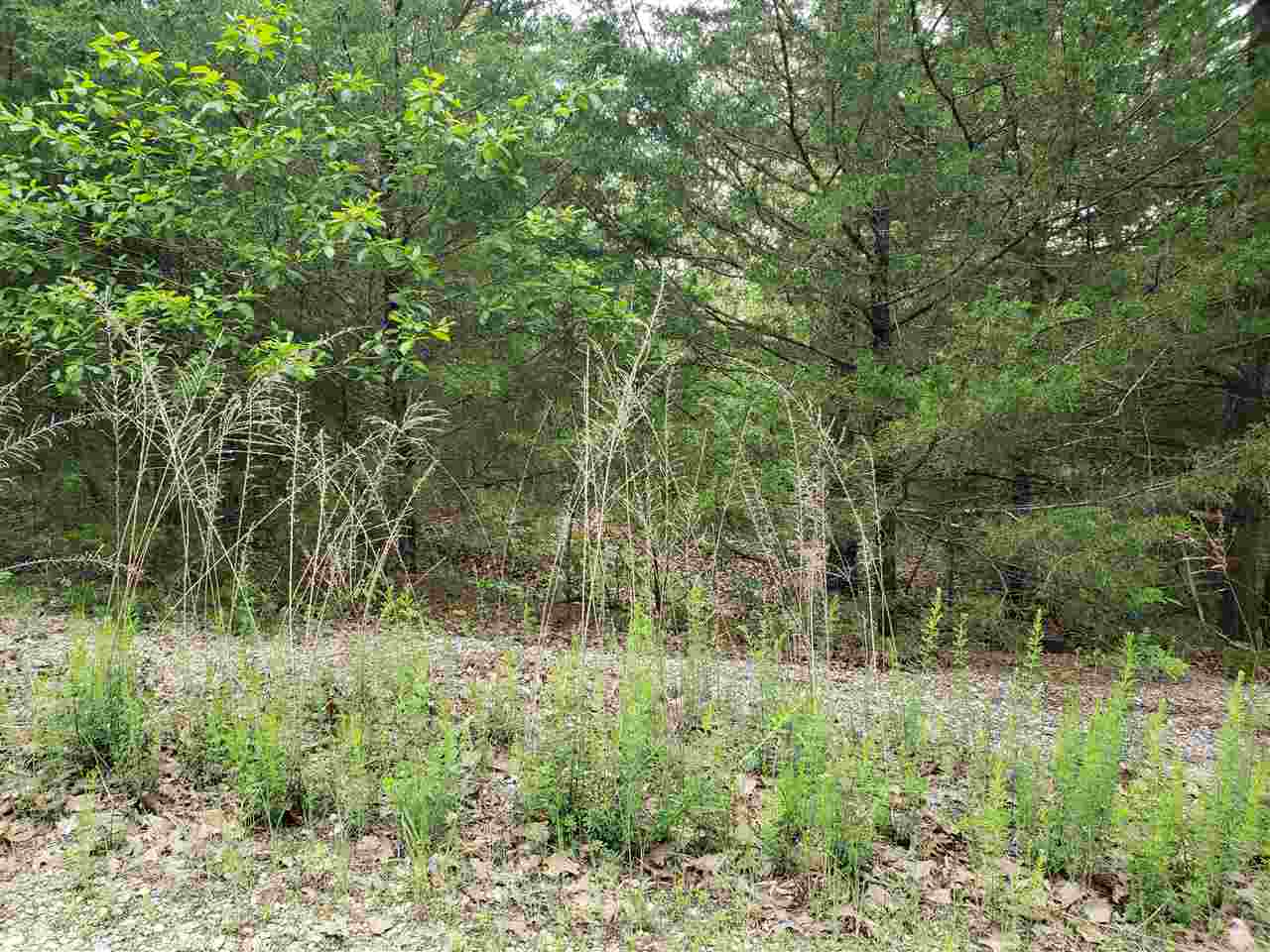 Photo 12 - Vacant Land for sale – L-8 B-11  Micco   Cherokee Village, AR