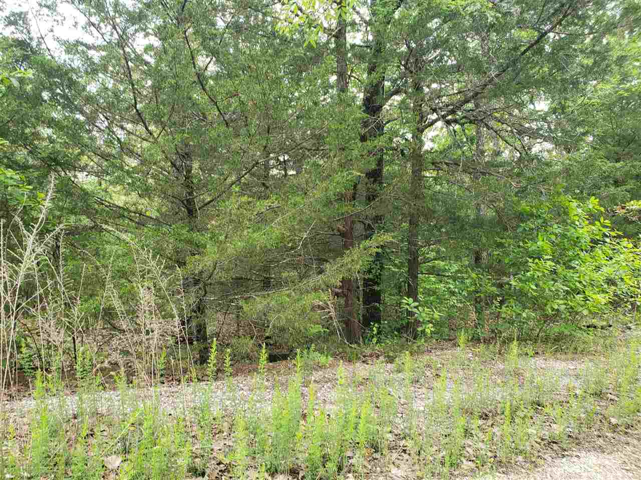 Photo 13 - Vacant Land for sale – L-8 B-11  Micco   Cherokee Village, AR