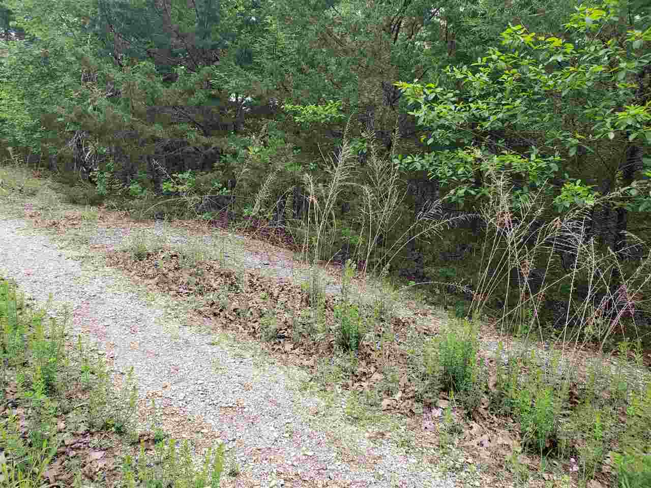 Photo 14 - Vacant Land for sale – L-8 B-11  Micco   Cherokee Village, AR