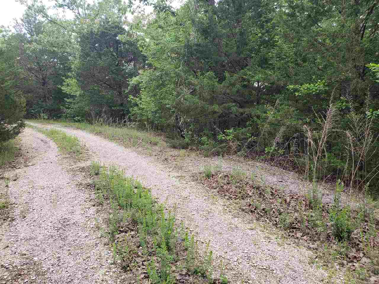 Photo 15 - Vacant Land for sale – L-8 B-11  Micco   Cherokee Village, AR