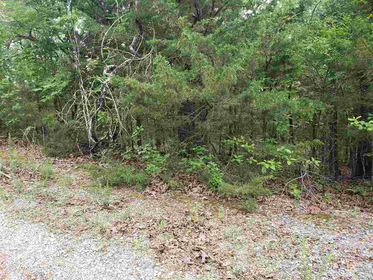 Photo 18 - Vacant Land for sale – L-8 B-11  Micco   Cherokee Village, AR