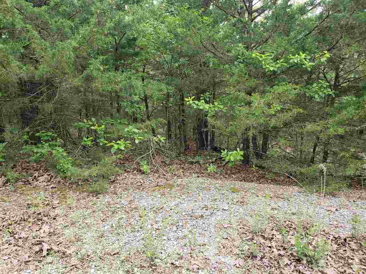 Photo 19 - Vacant Land for sale – L-8 B-11  Micco   Cherokee Village, AR
