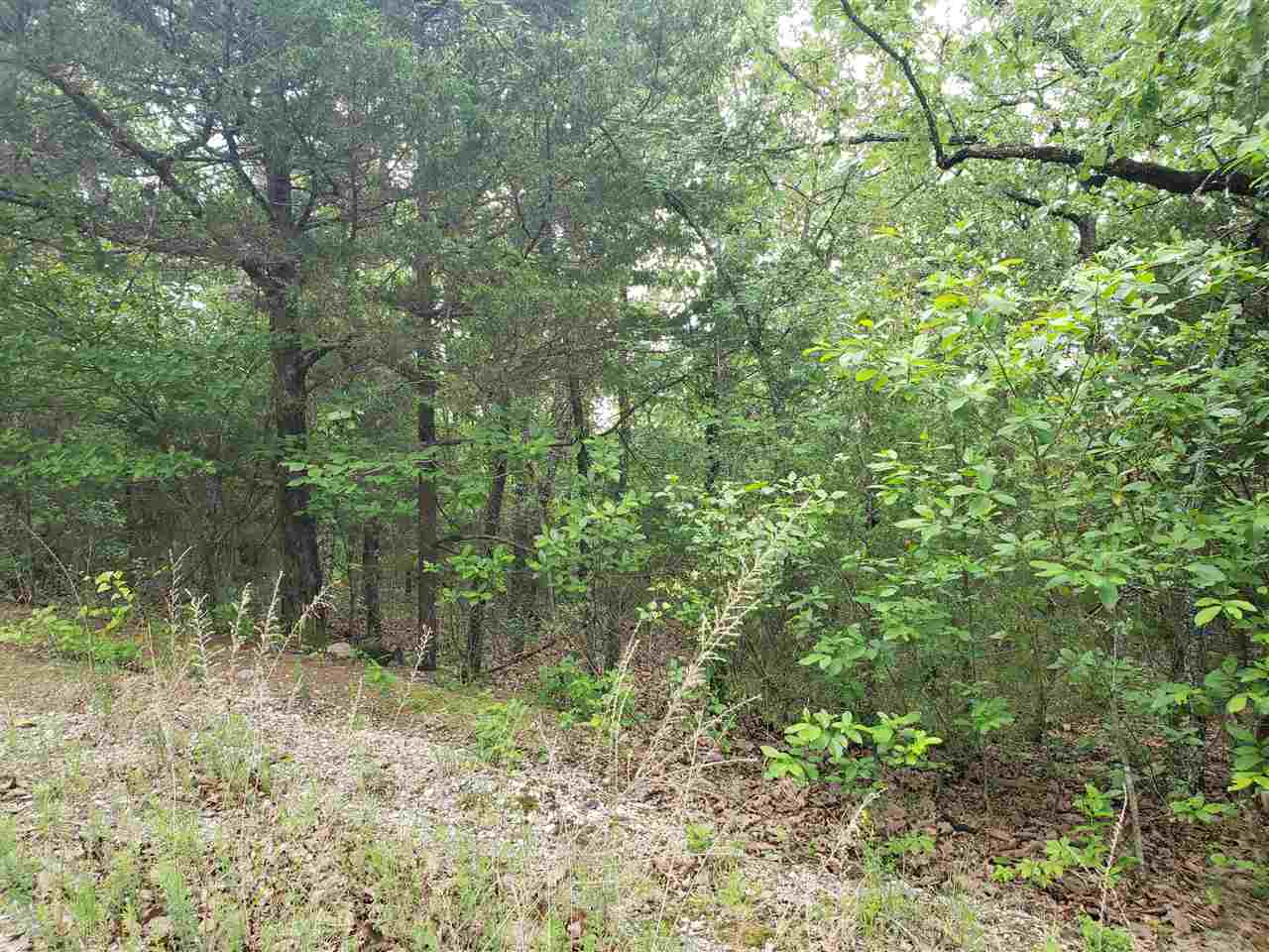 Photo 20 - Vacant Land for sale – L-8 B-11  Micco   Cherokee Village, AR