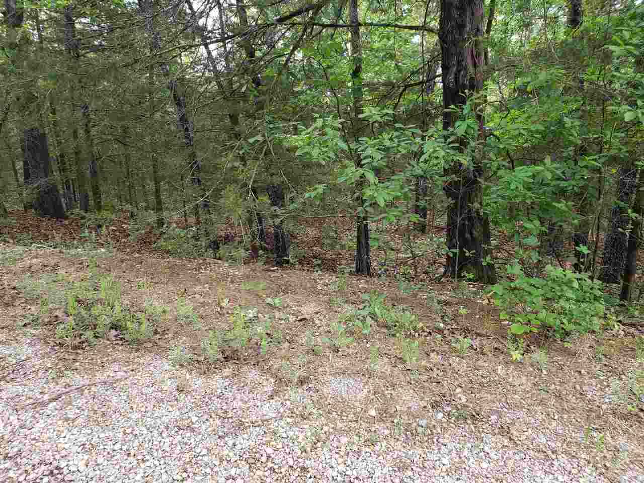 Photo 3 - Vacant Land for sale – L-8 B-11  Micco   Cherokee Village, AR