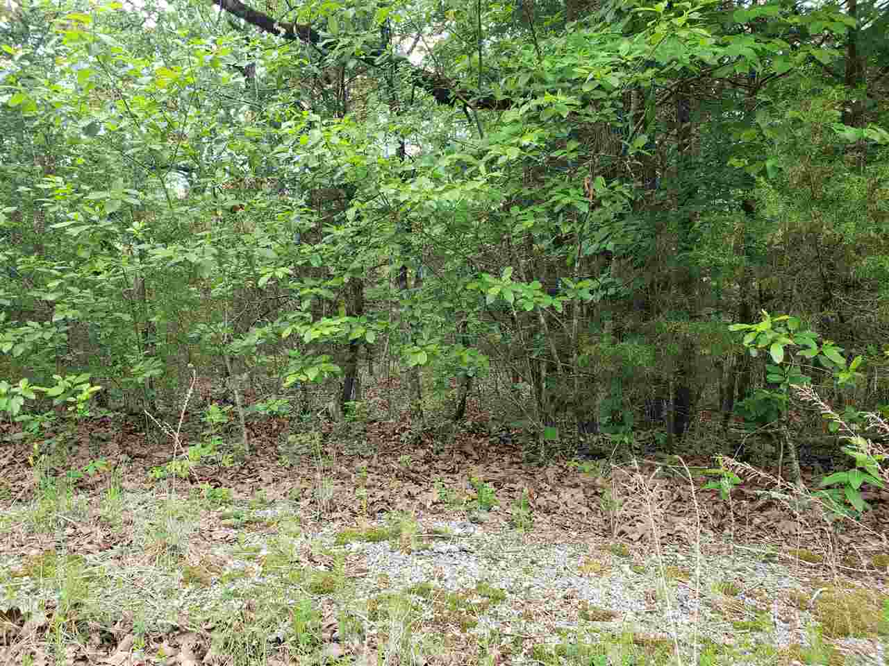 Photo 21 - Vacant Land for sale – L-8 B-11  Micco   Cherokee Village, AR