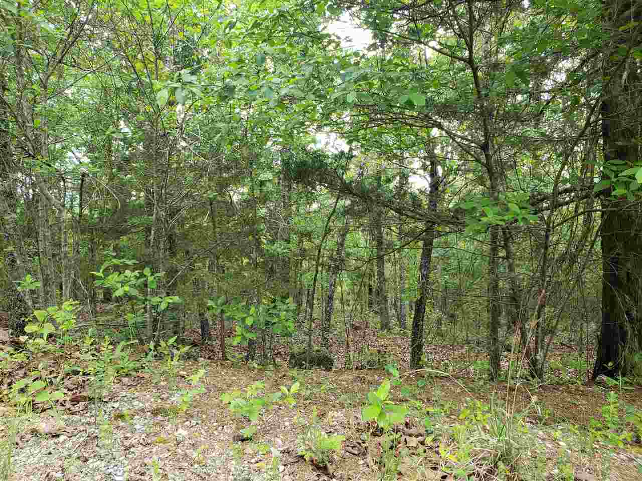 Photo 22 - Vacant Land for sale – L-8 B-11  Micco   Cherokee Village, AR