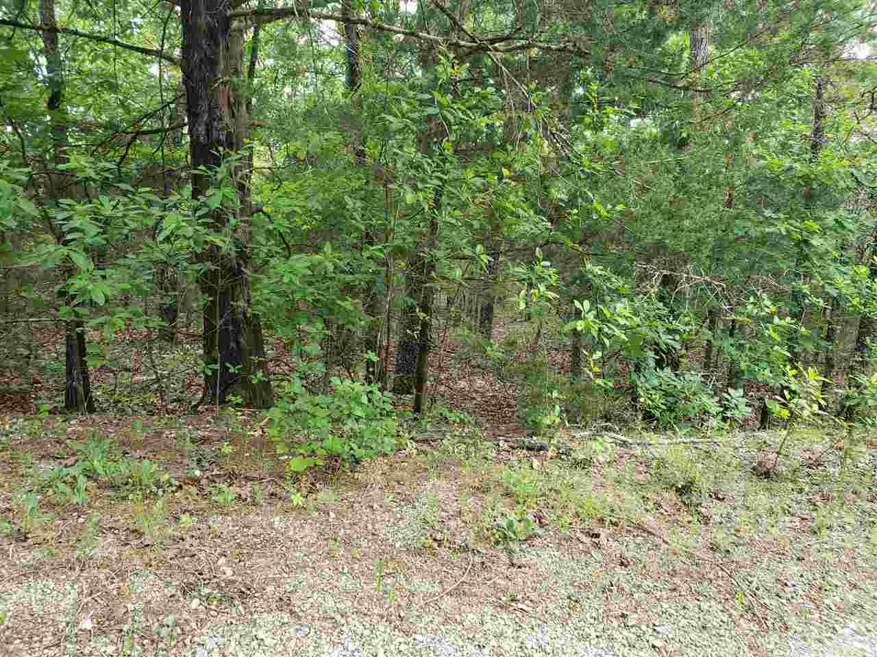Photo 4 - Vacant Land for sale – L-8 B-11  Micco   Cherokee Village, AR