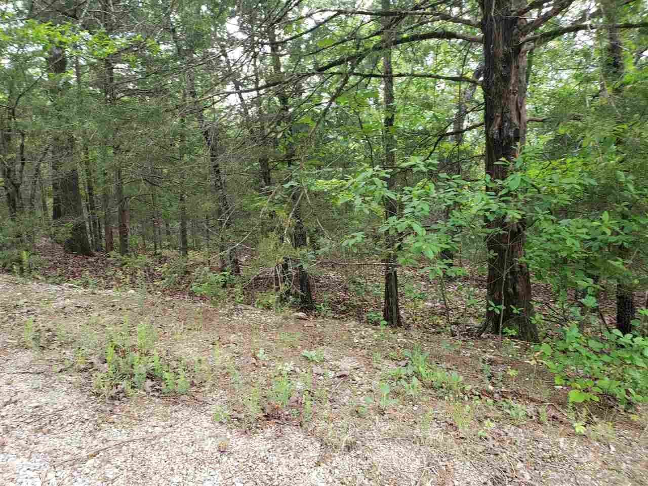 Photo 5 - Vacant Land for sale – L-8 B-11  Micco   Cherokee Village, AR