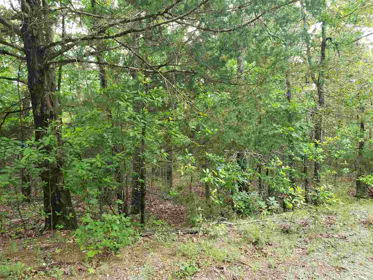 Photo 6 - Vacant Land for sale – L-8 B-11  Micco   Cherokee Village, AR