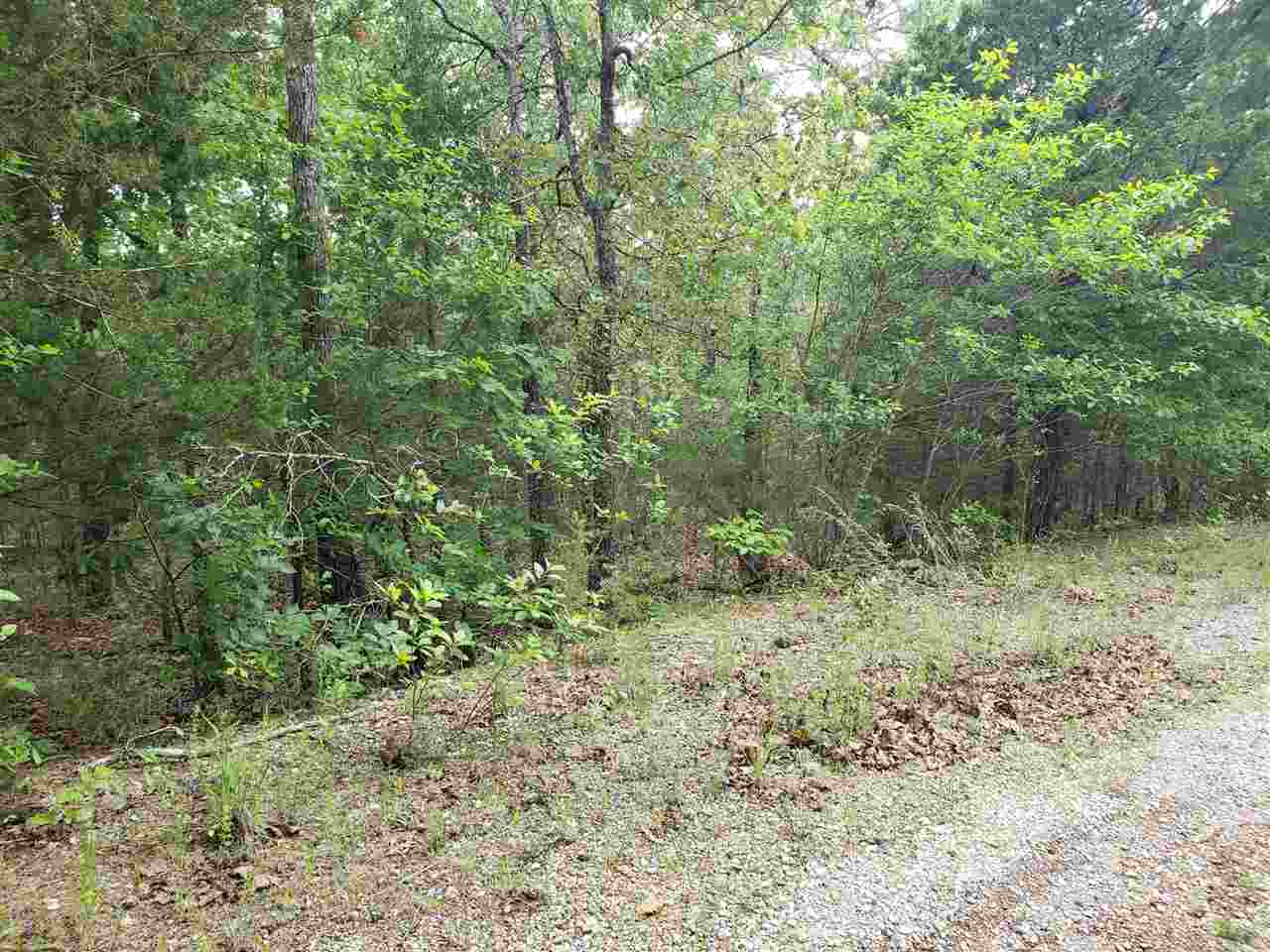 Photo 7 - Vacant Land for sale – L-8 B-11  Micco   Cherokee Village, AR