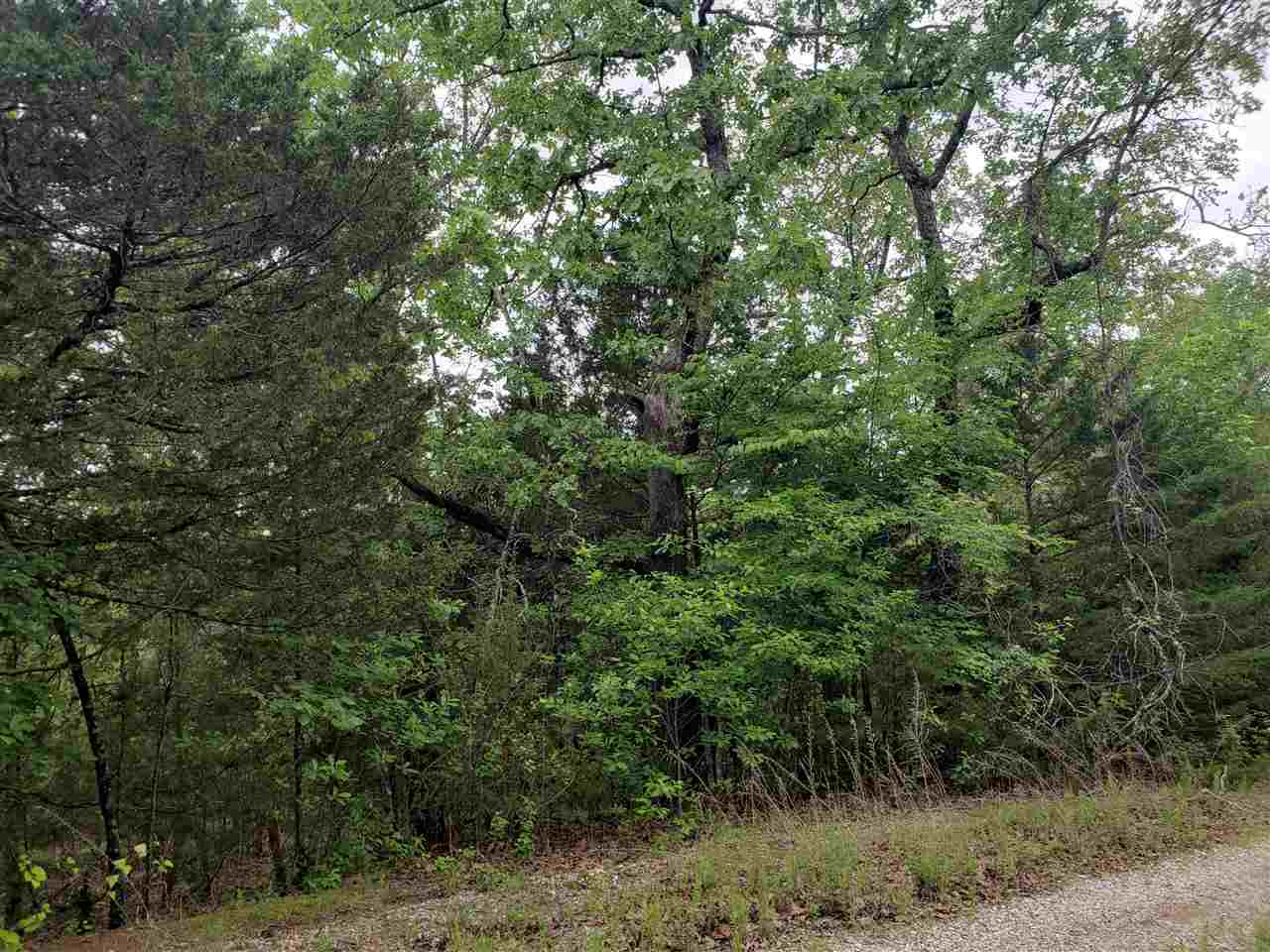 Photo 8 - Vacant Land for sale – L-8 B-11  Micco   Cherokee Village, AR