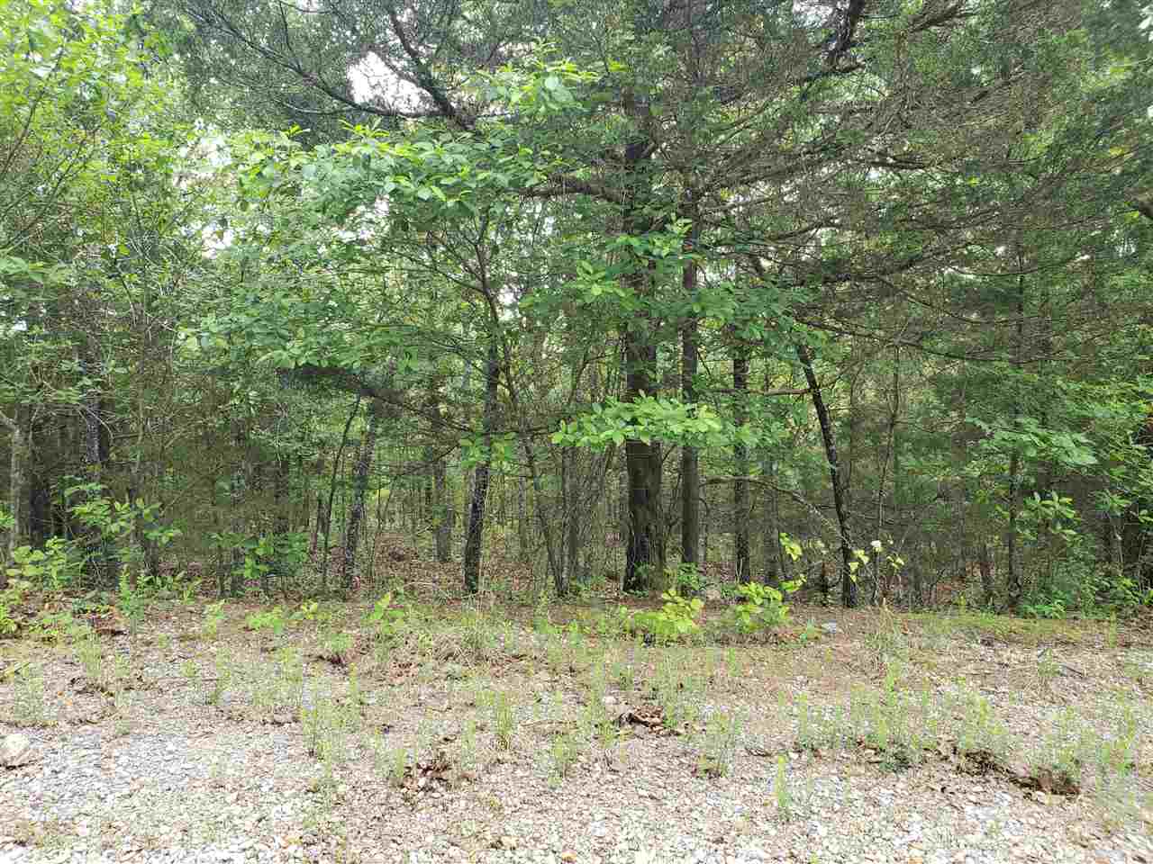 Photo 9 - Vacant Land for sale – L-8 B-11  Micco   Cherokee Village, AR
