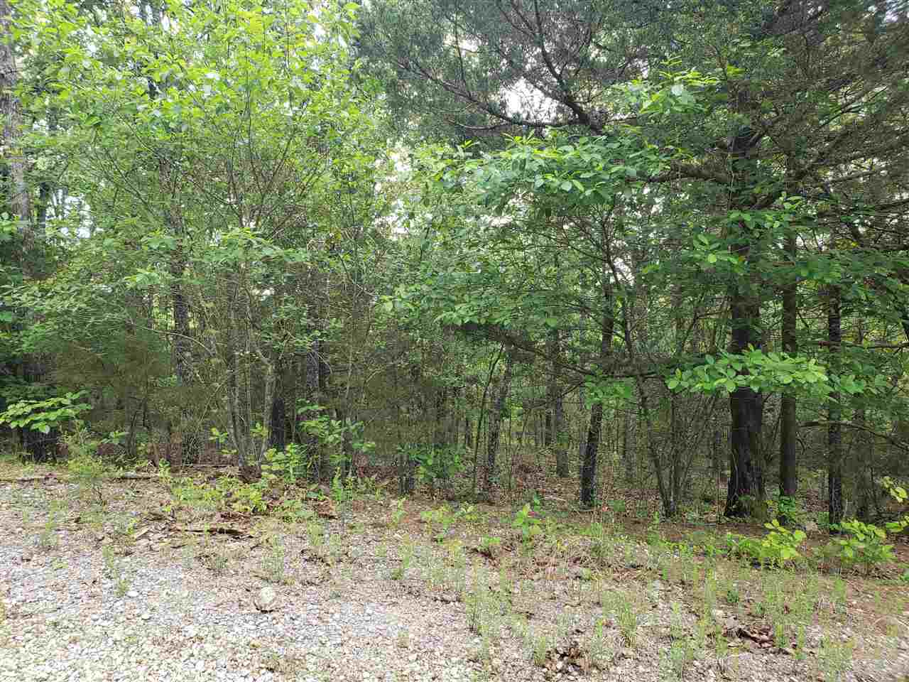 Photo 10 - Vacant Land for sale – L-8 B-11  Micco   Cherokee Village, AR