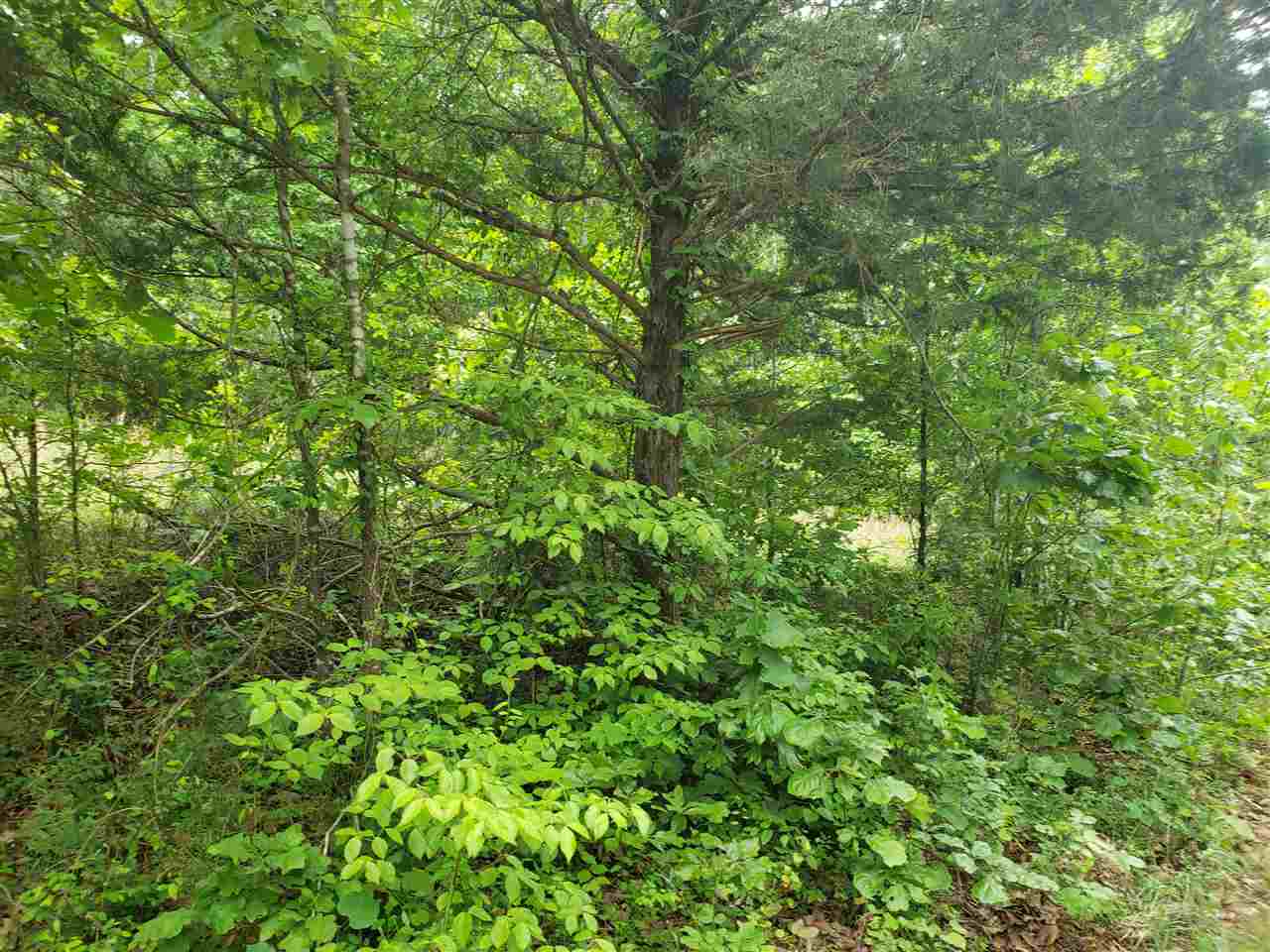 Vacant Land for sale – L-5 B-5  Flathead   Cherokee Village, AR