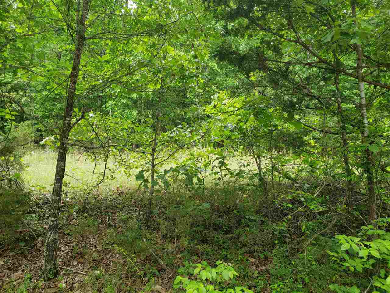 Photo 2 - Vacant Land for sale – L-5 B-5  Flathead   Cherokee Village, AR