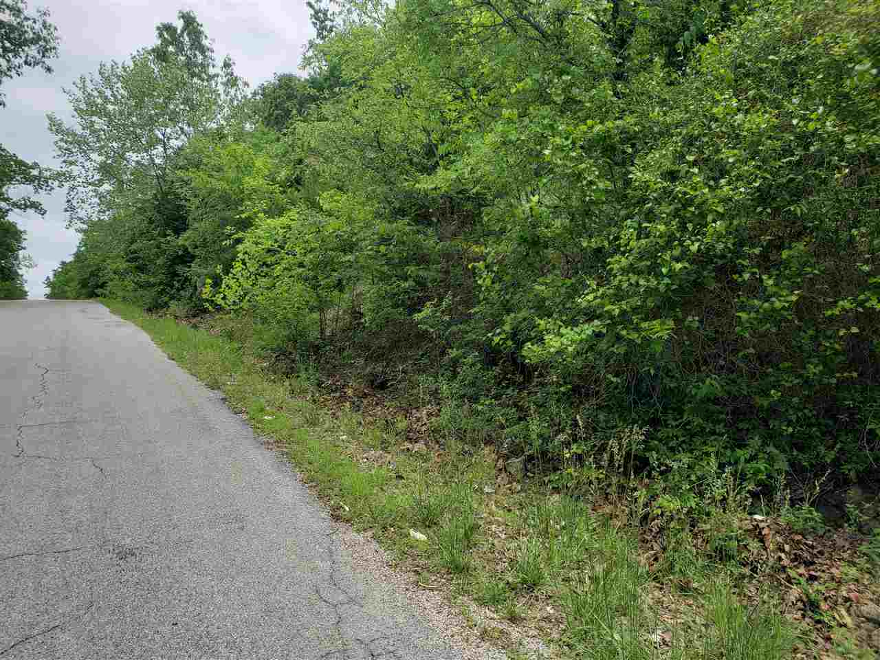 Photo 2 - Vacant Land for sale – L-27 B-5  Flathead   Cherokee Village, AR