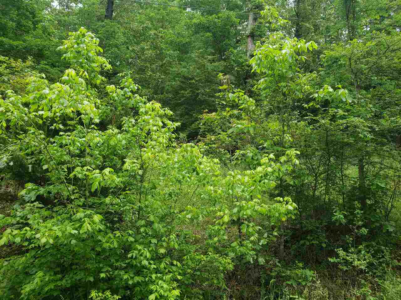 Photo 11 - Vacant Land for sale – L-27 B-5  Flathead   Cherokee Village, AR